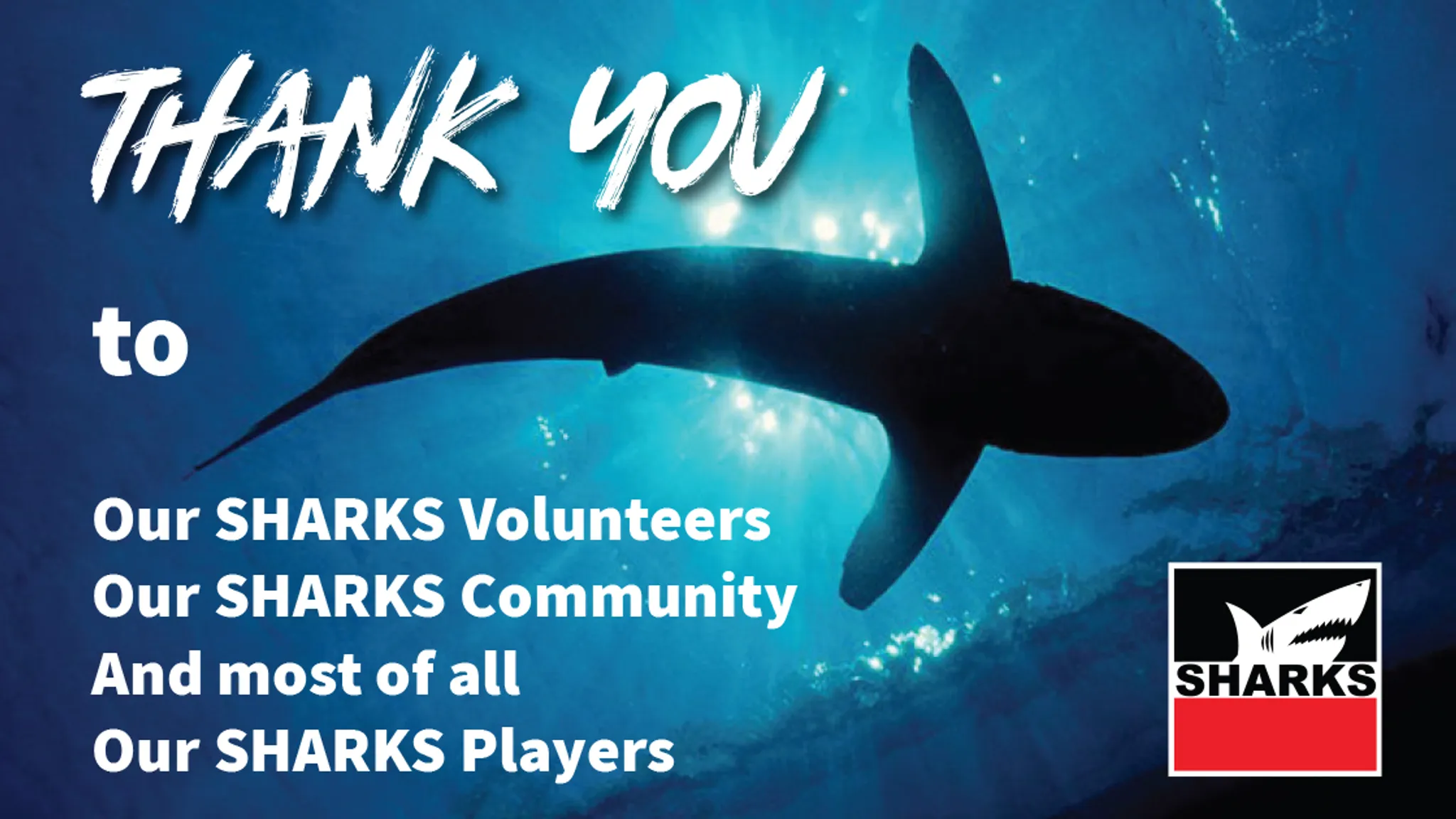 Sharks Auskick Program