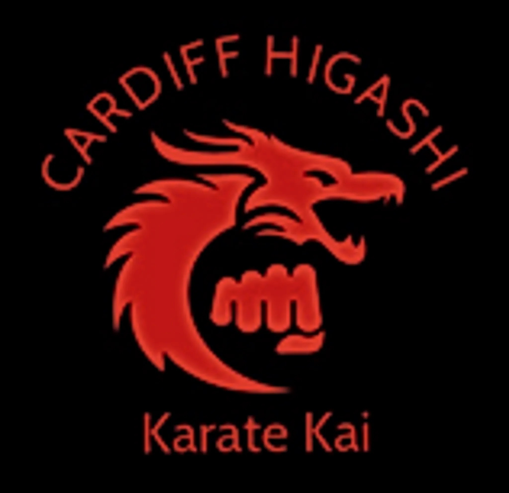 Cardiff Higashi Karate Club