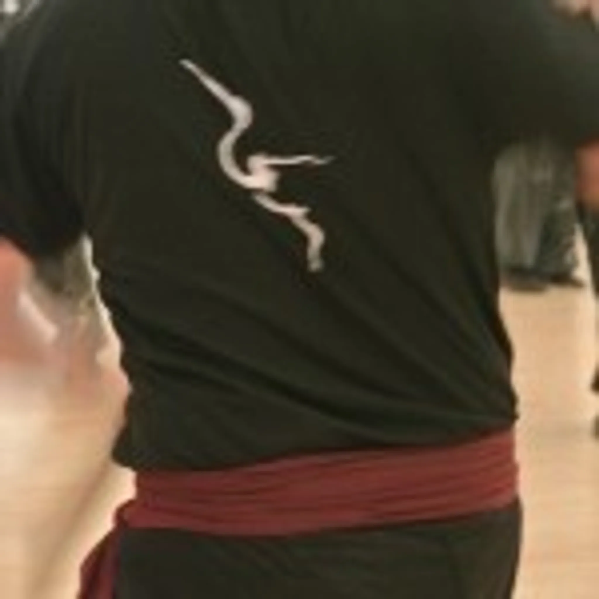 Fujian White Crane Kung Fu