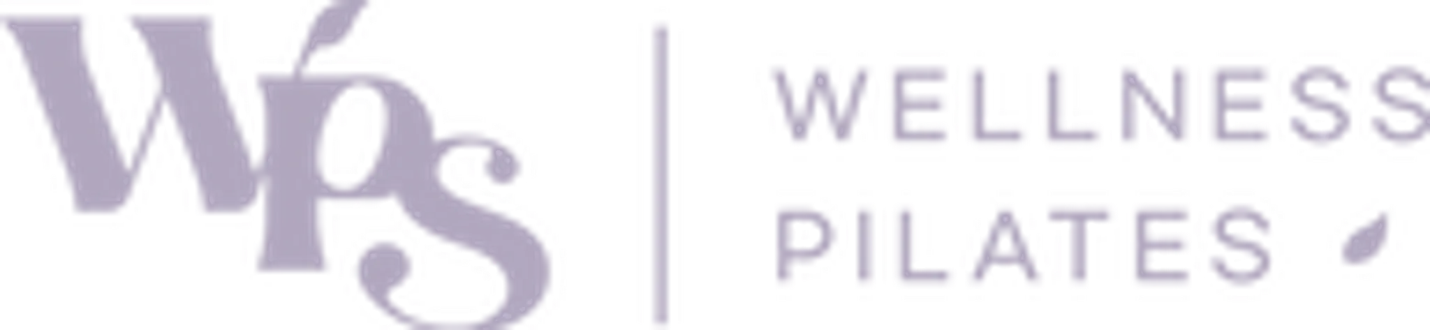 Wellness Pilates Castle Hill