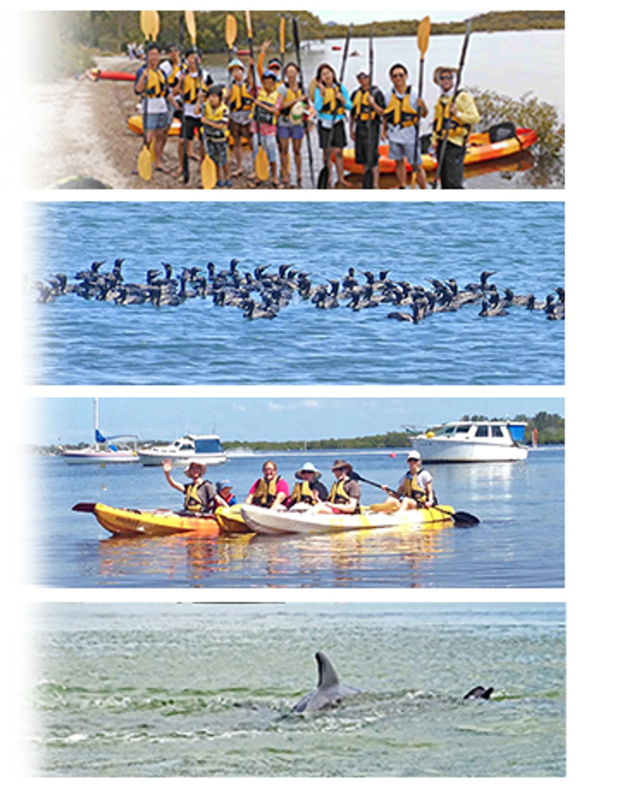 Kayak Hire and Guided Tours