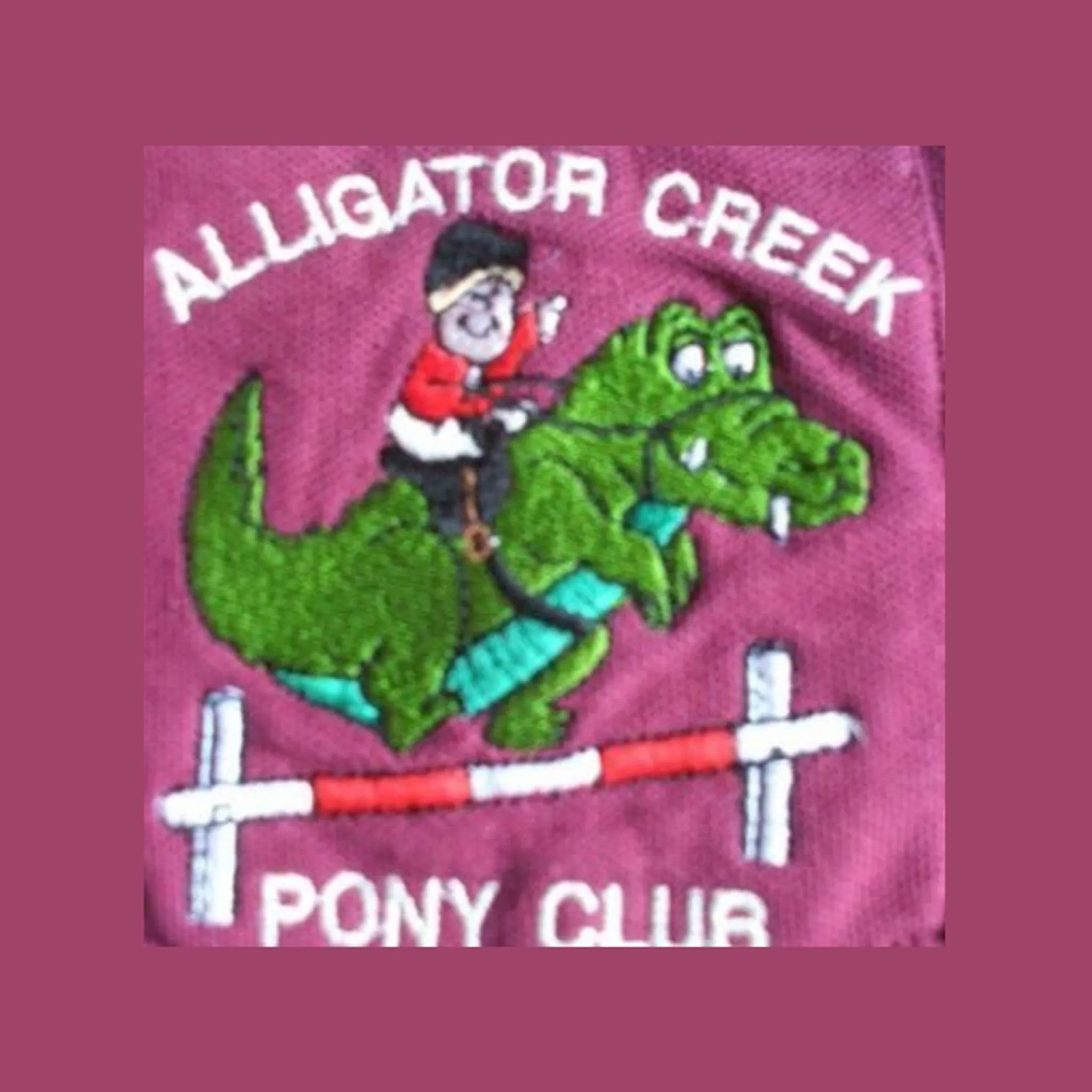 Alligator Creek Pony Club