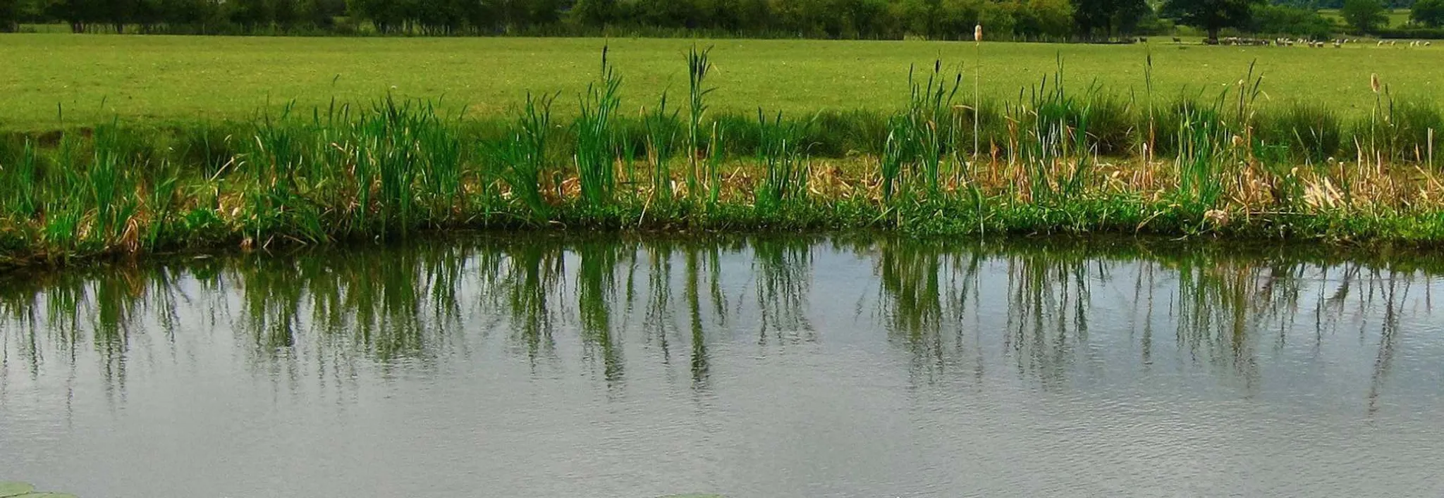 Albrighton Anglers Fishing Club Membership