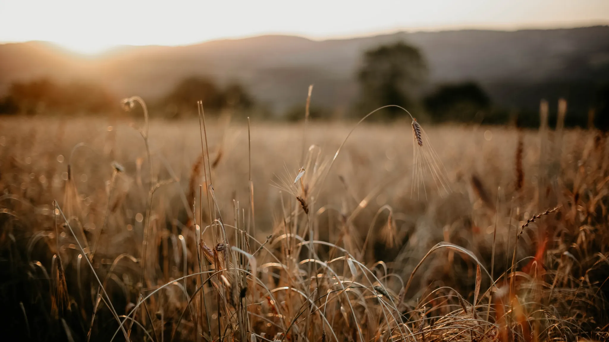 My Secret Sunday Events