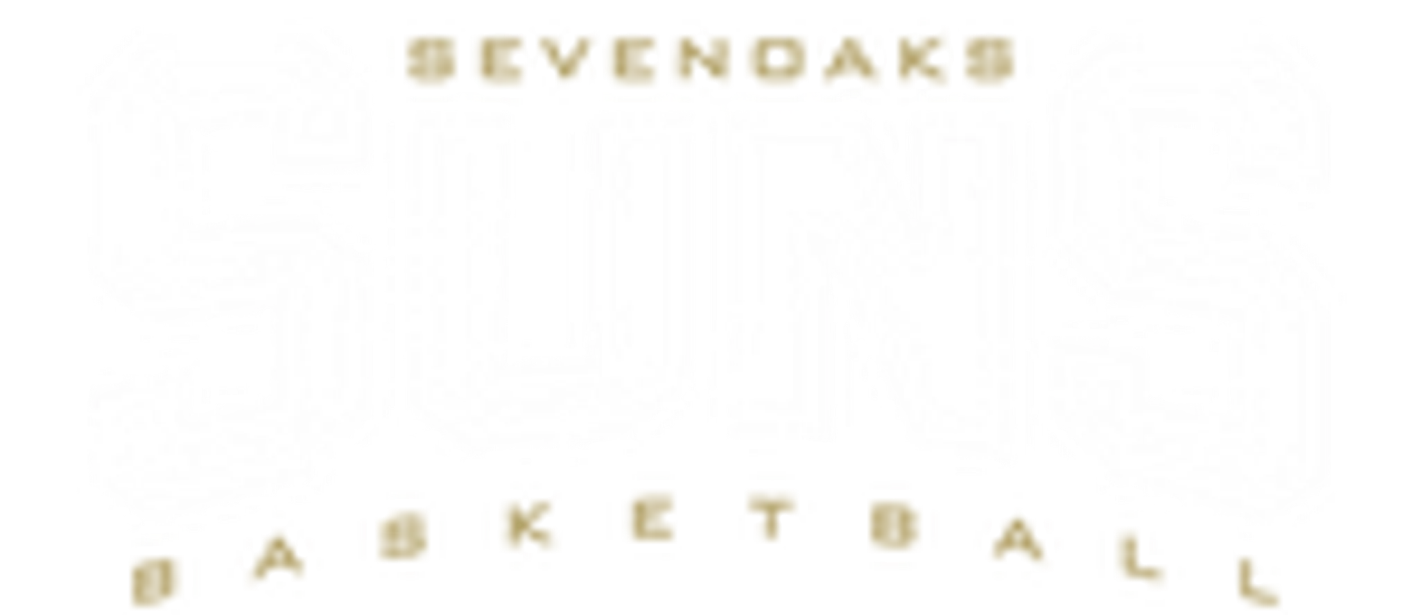 Sevenoaks Suns Basketball Club