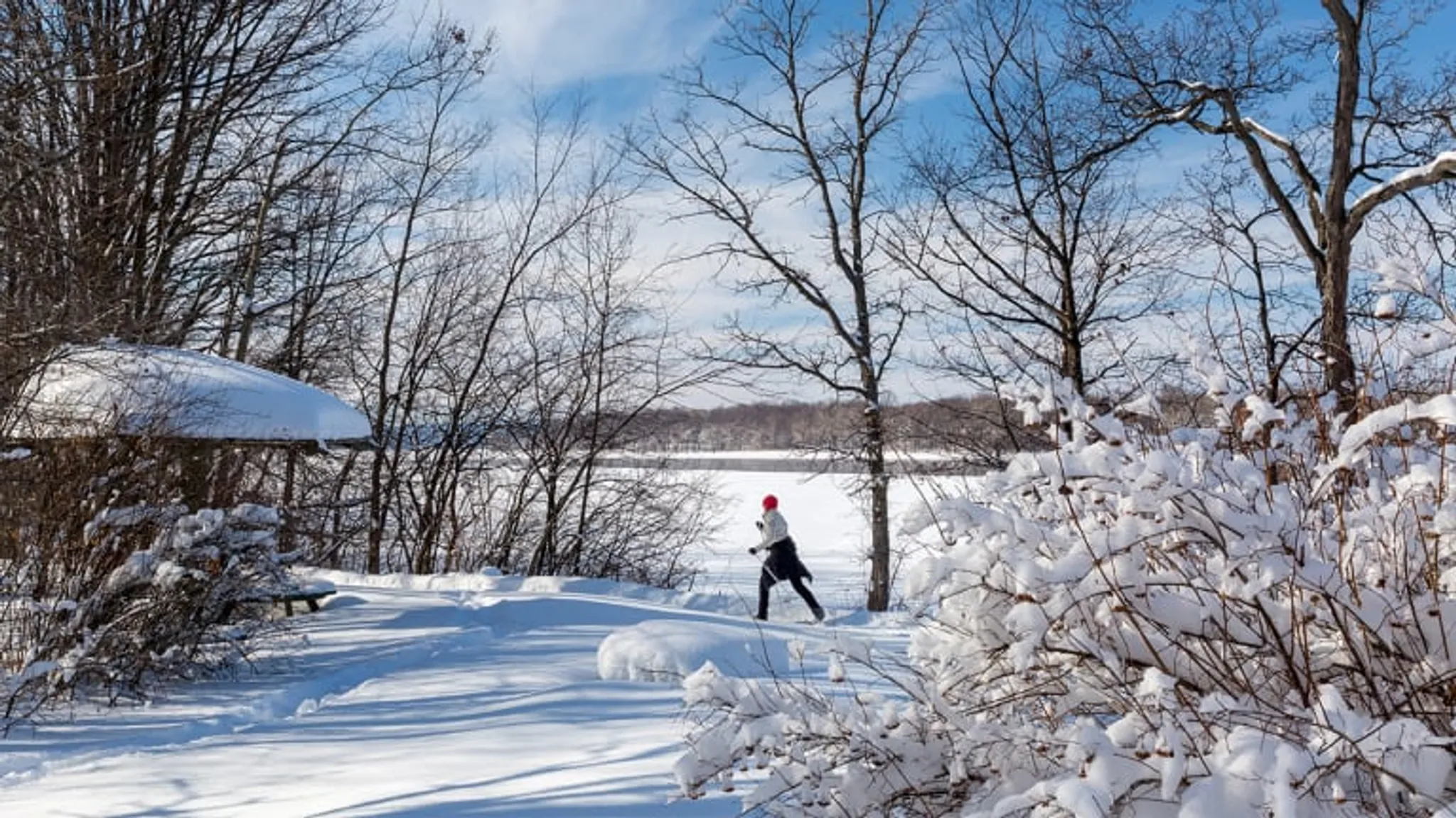 Parc de Montmartre soccer field