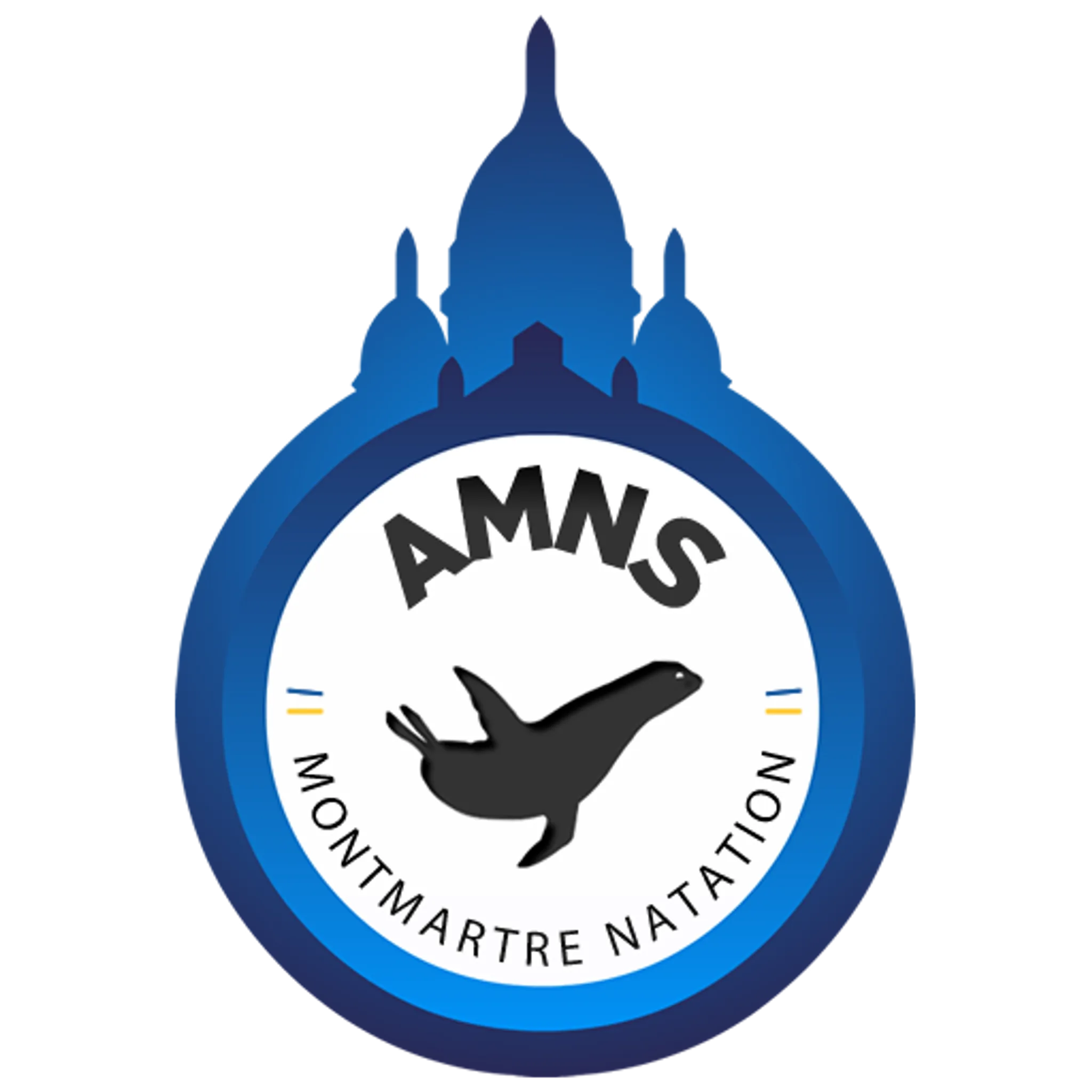 Ffss 75 Amns French Federation Life-Saving And De Secourisme