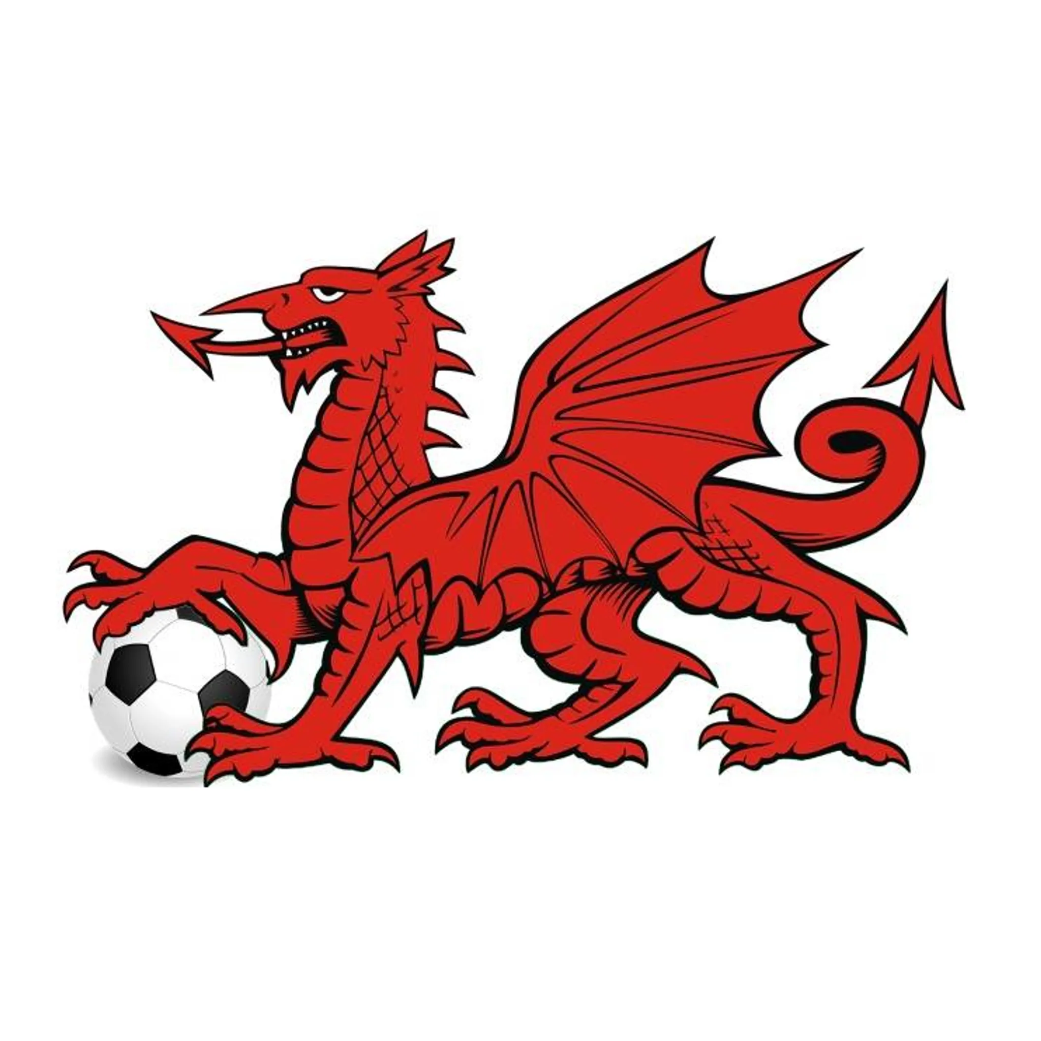 Bunbury Dynamos Juniors Soccer Club