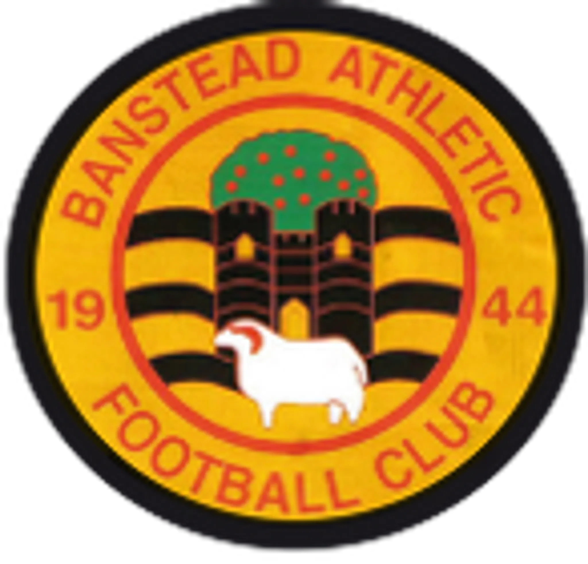 Banstead Athletic F C Ground