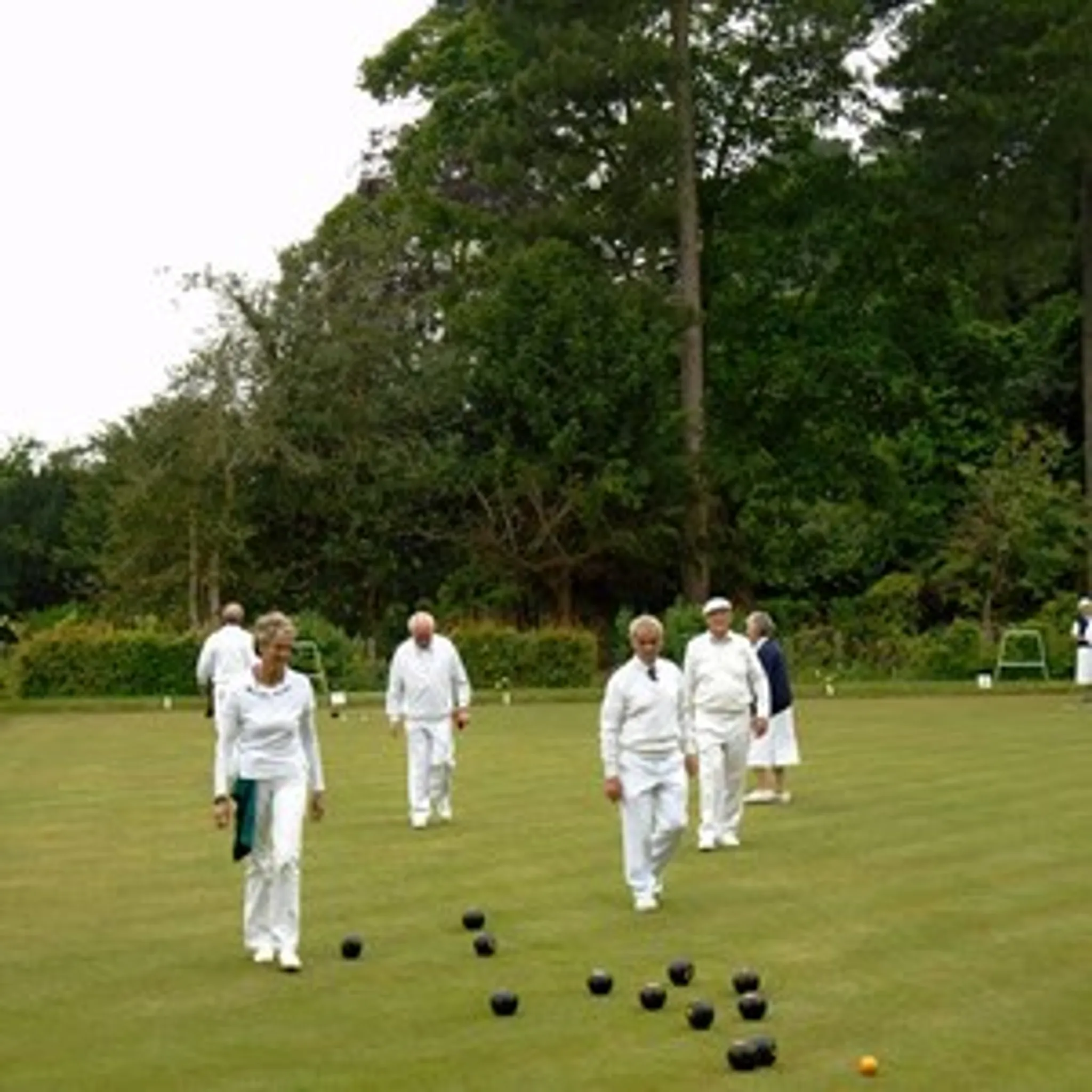 Bedford Park Bowling Club