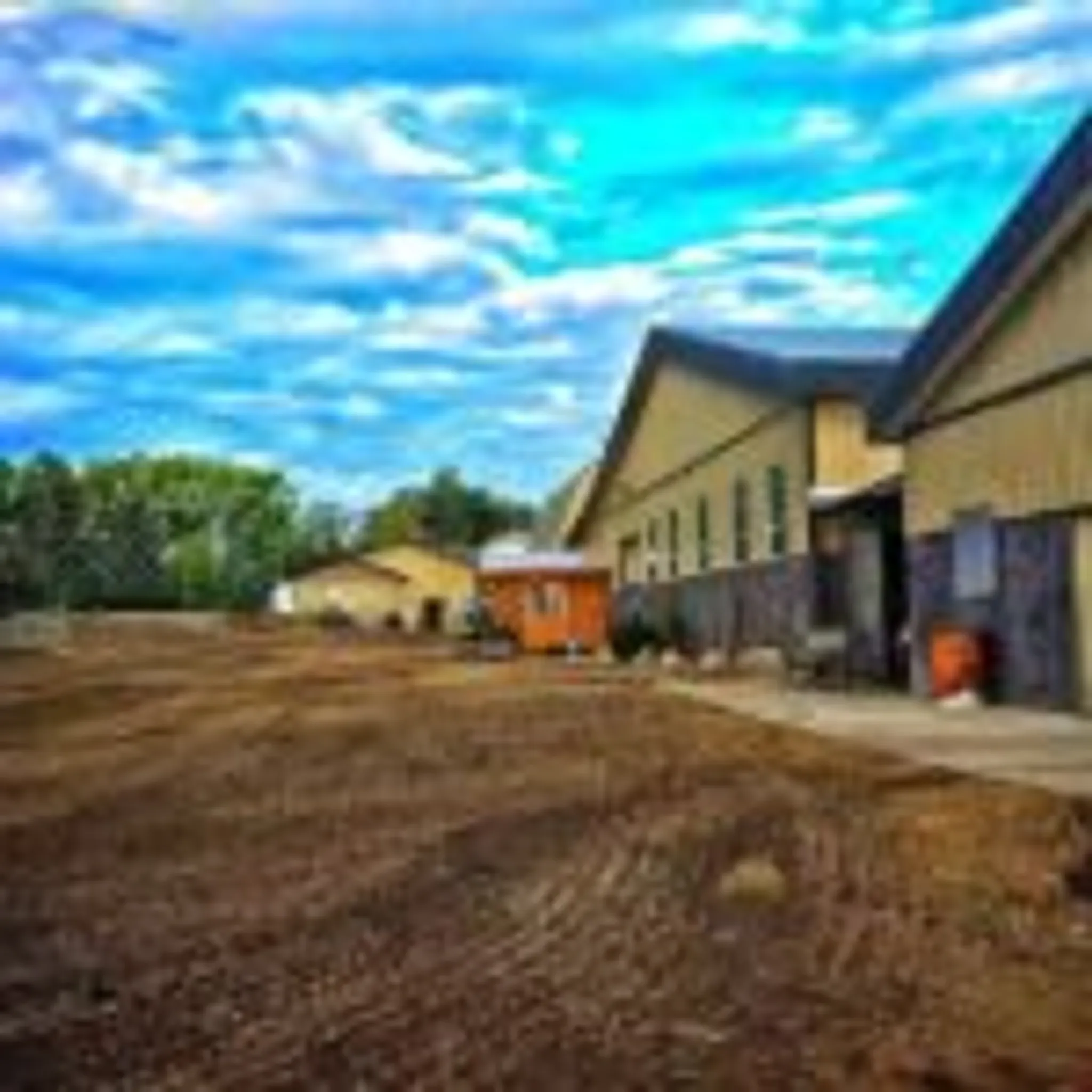 Bow Canyon Equestrian