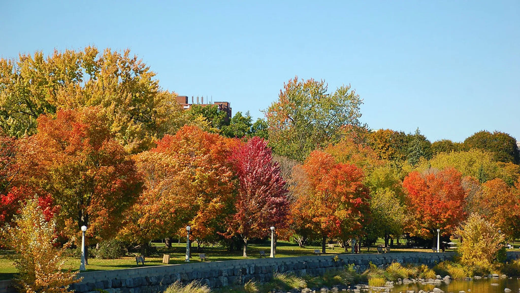 Mairena Summer Solstice Spanish Retreat
