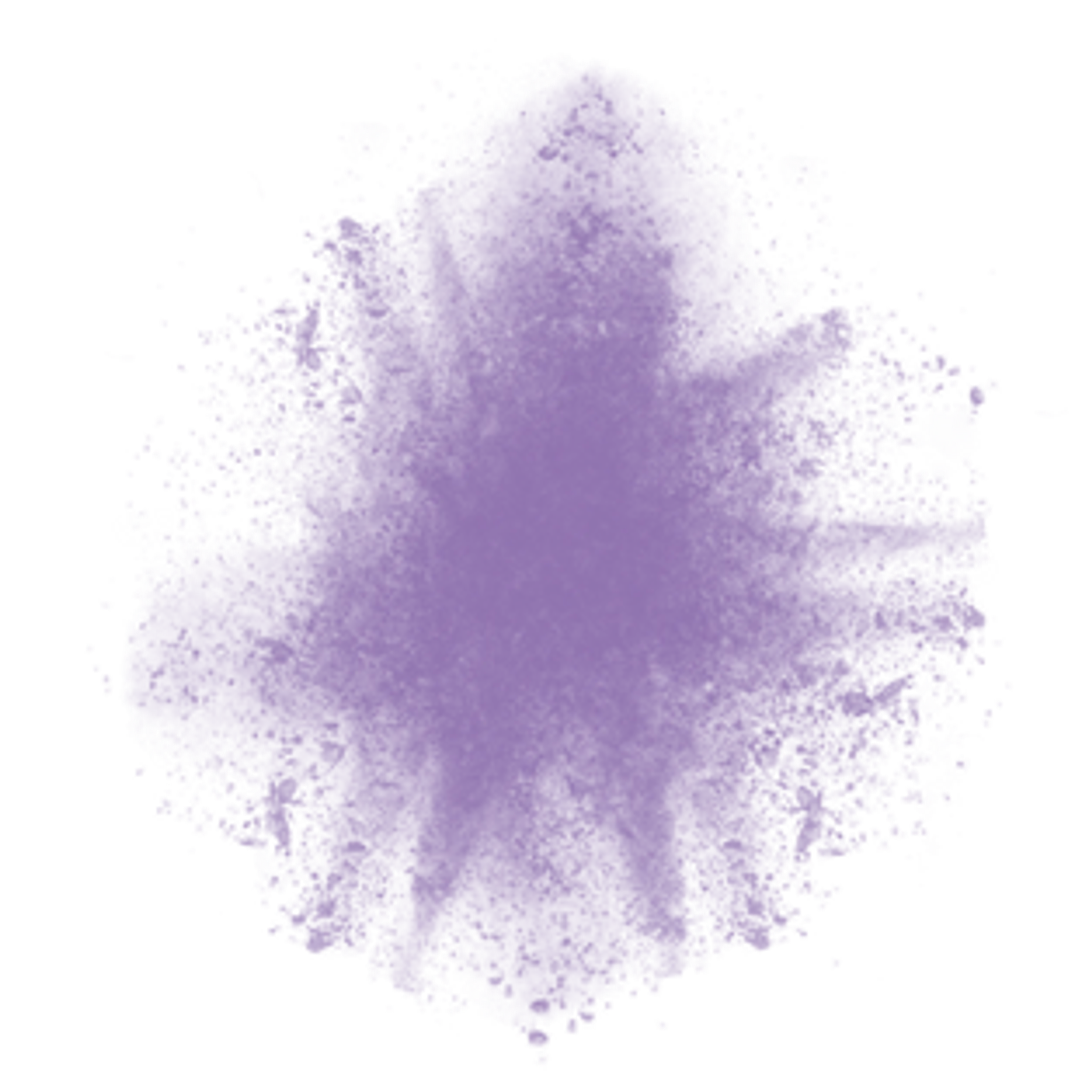 Precisions Dance Company Inc.