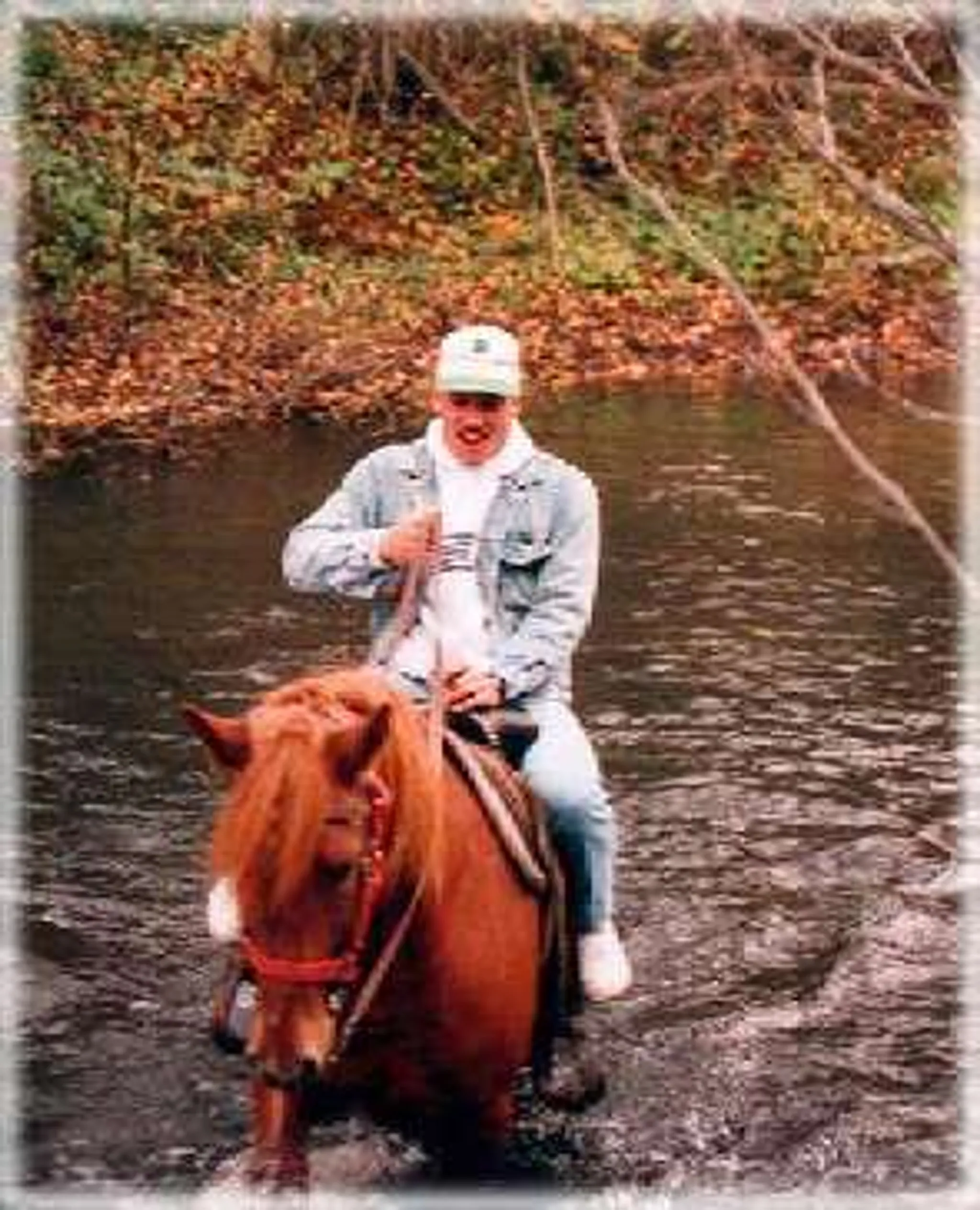 Centre Equestre Des Plateaux