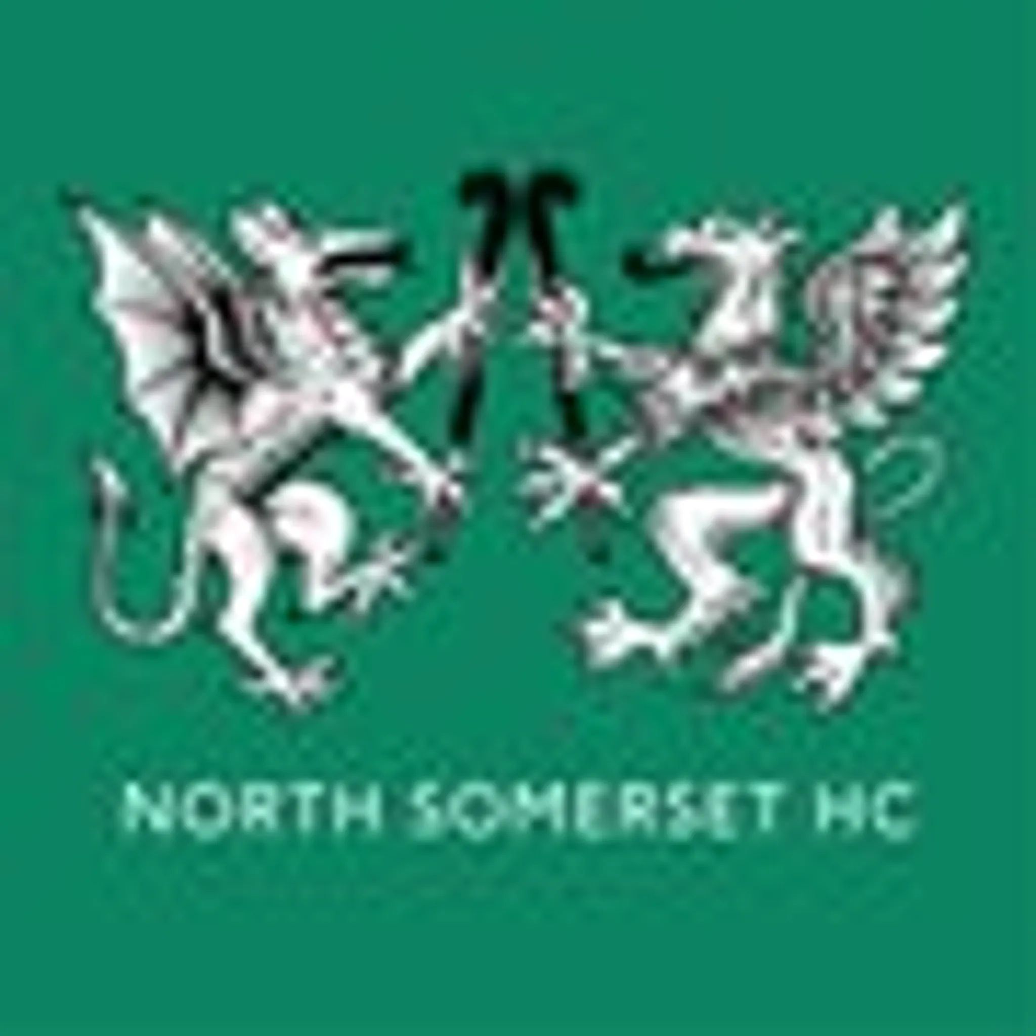 North Somerset Hockey Club