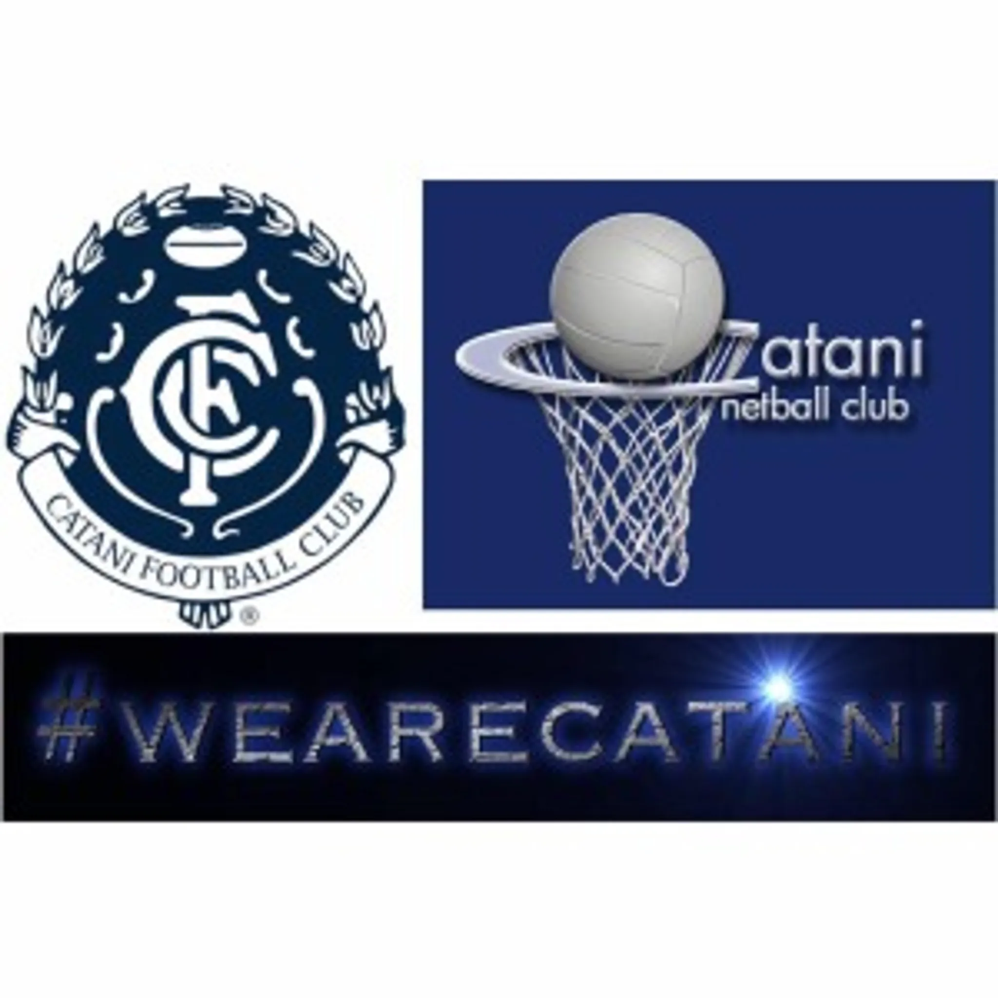 Ellinbank & District Football League / Catani Football Club History