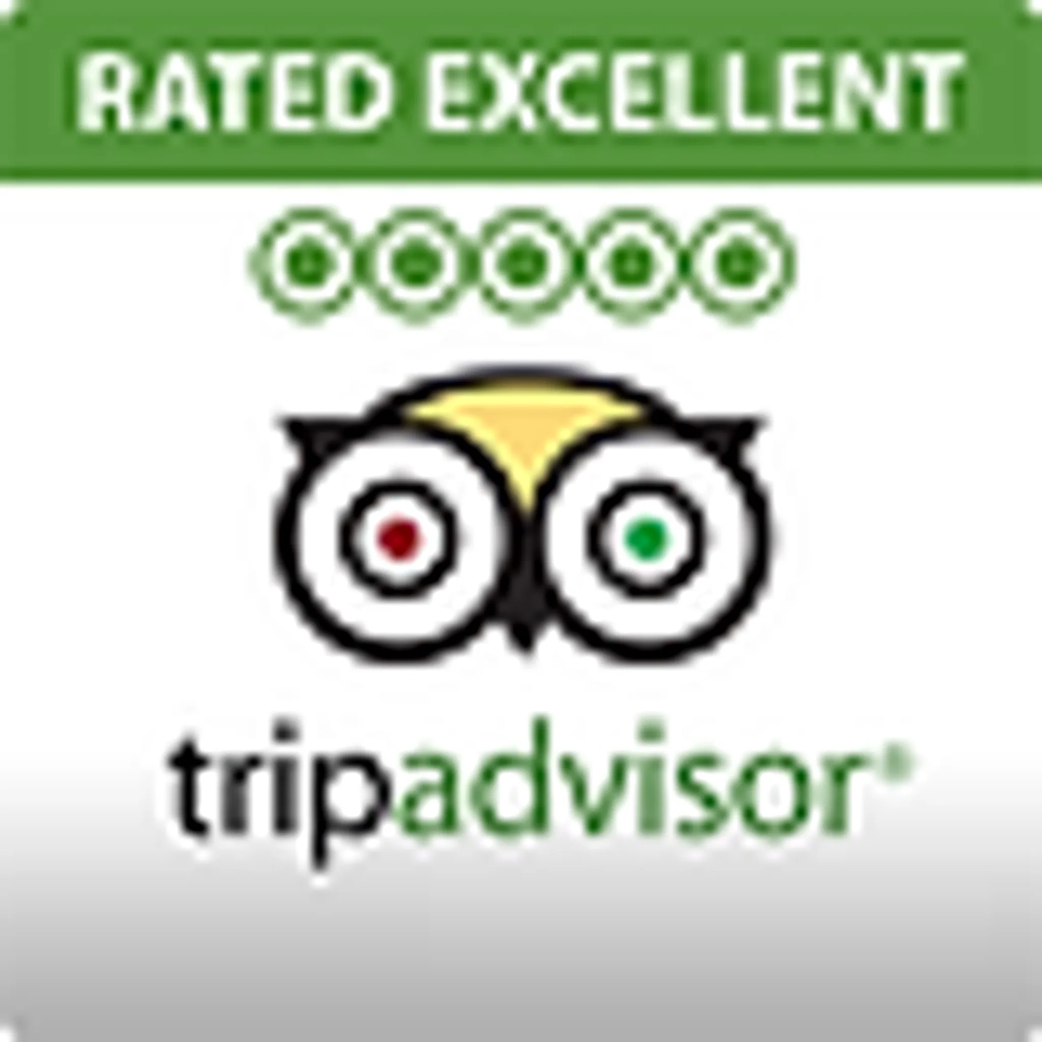 Cambridge Rowing Experience