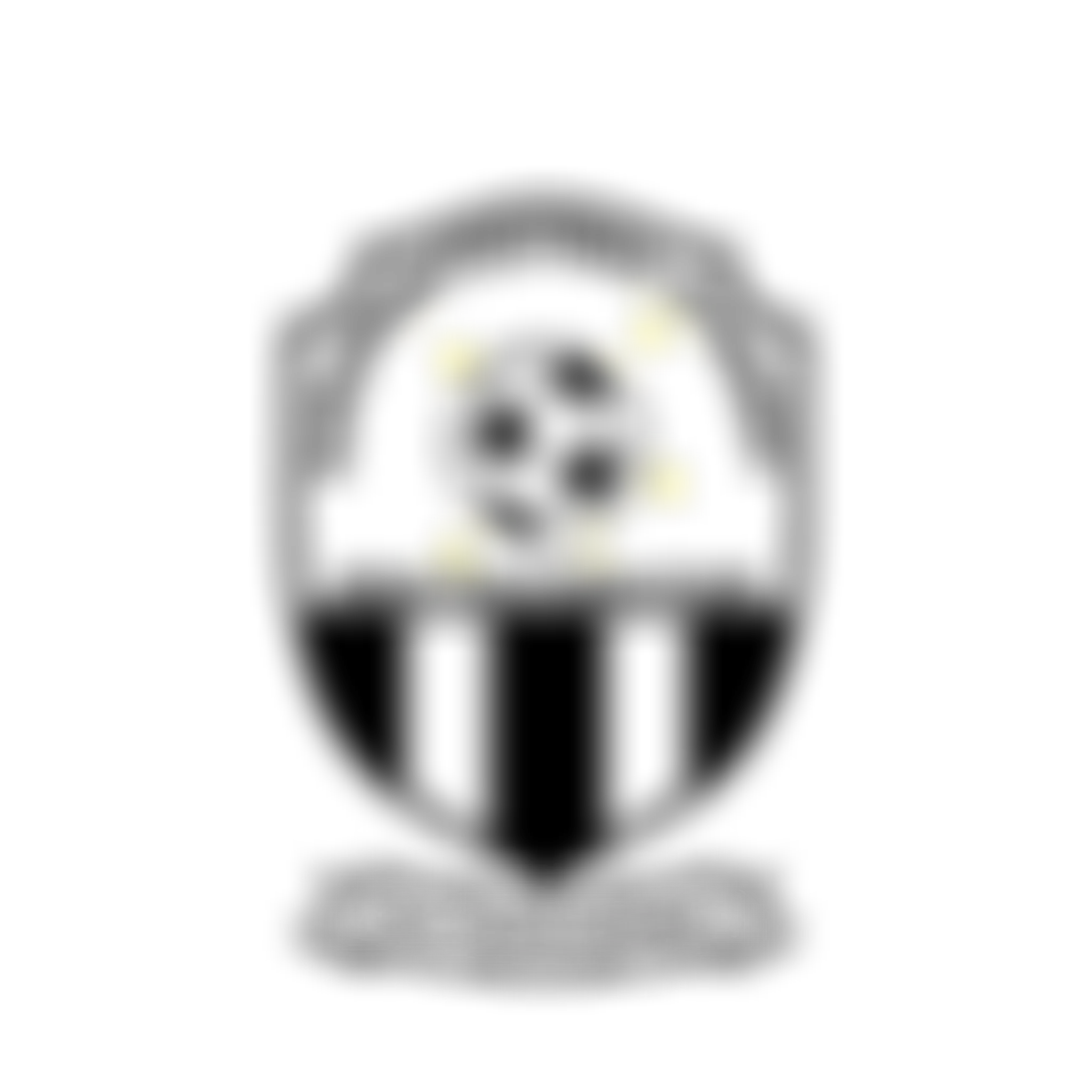 European Football Academy