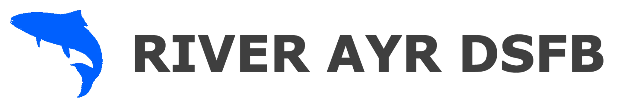 River Ayr DSFB