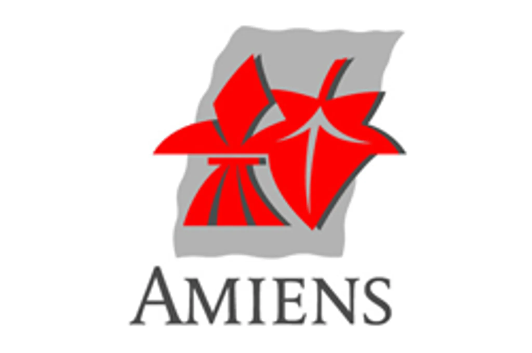 Club de Plongée Le Leo Amiens