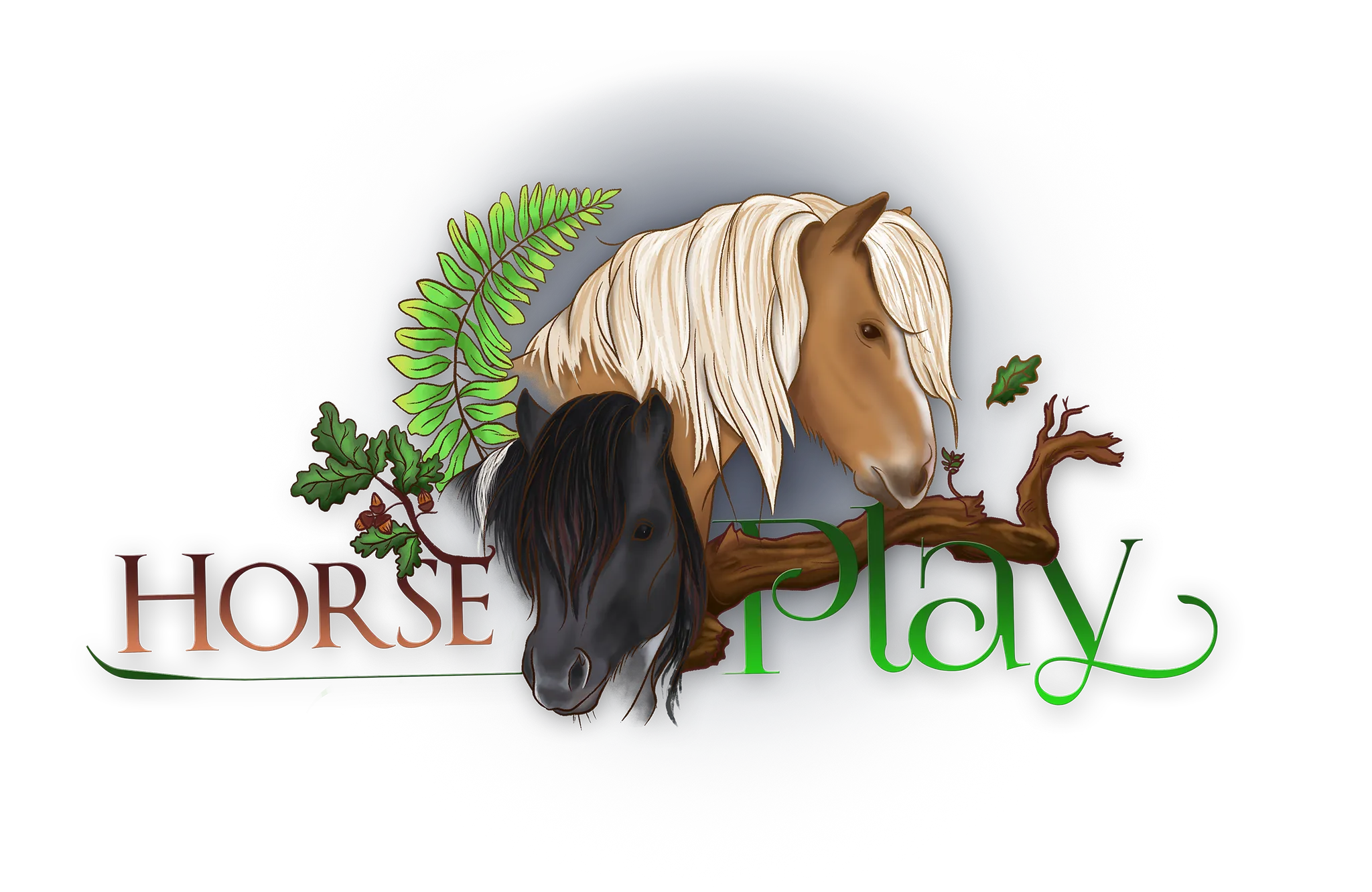 Horse Play Adventures