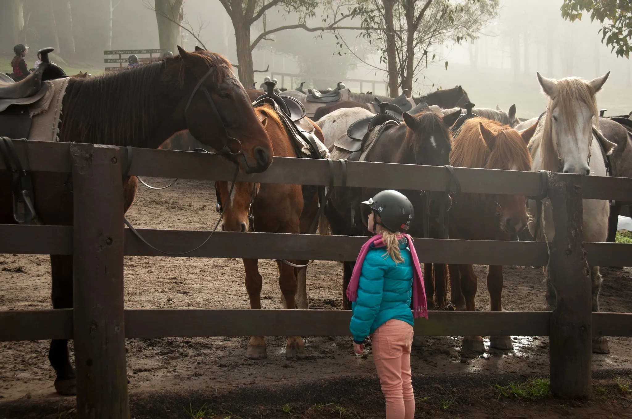 Sumner Valley Riding School