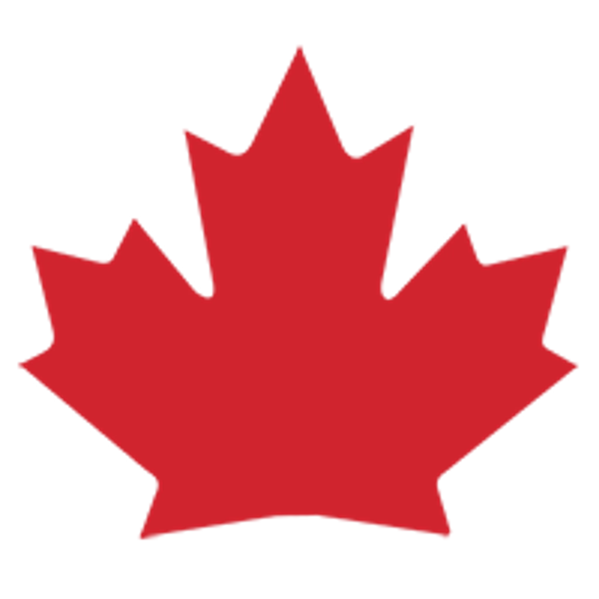 D & D United Black Belt Martial Arts