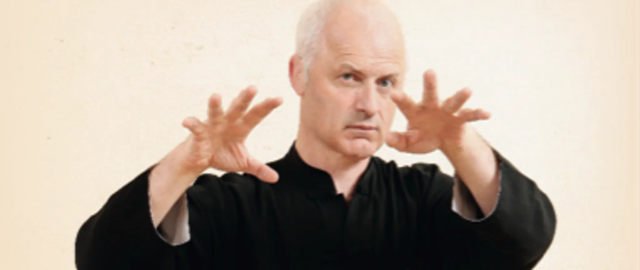 Anyda : Tai Chi Qi Gong Kung-Fu Lutte Chinoise