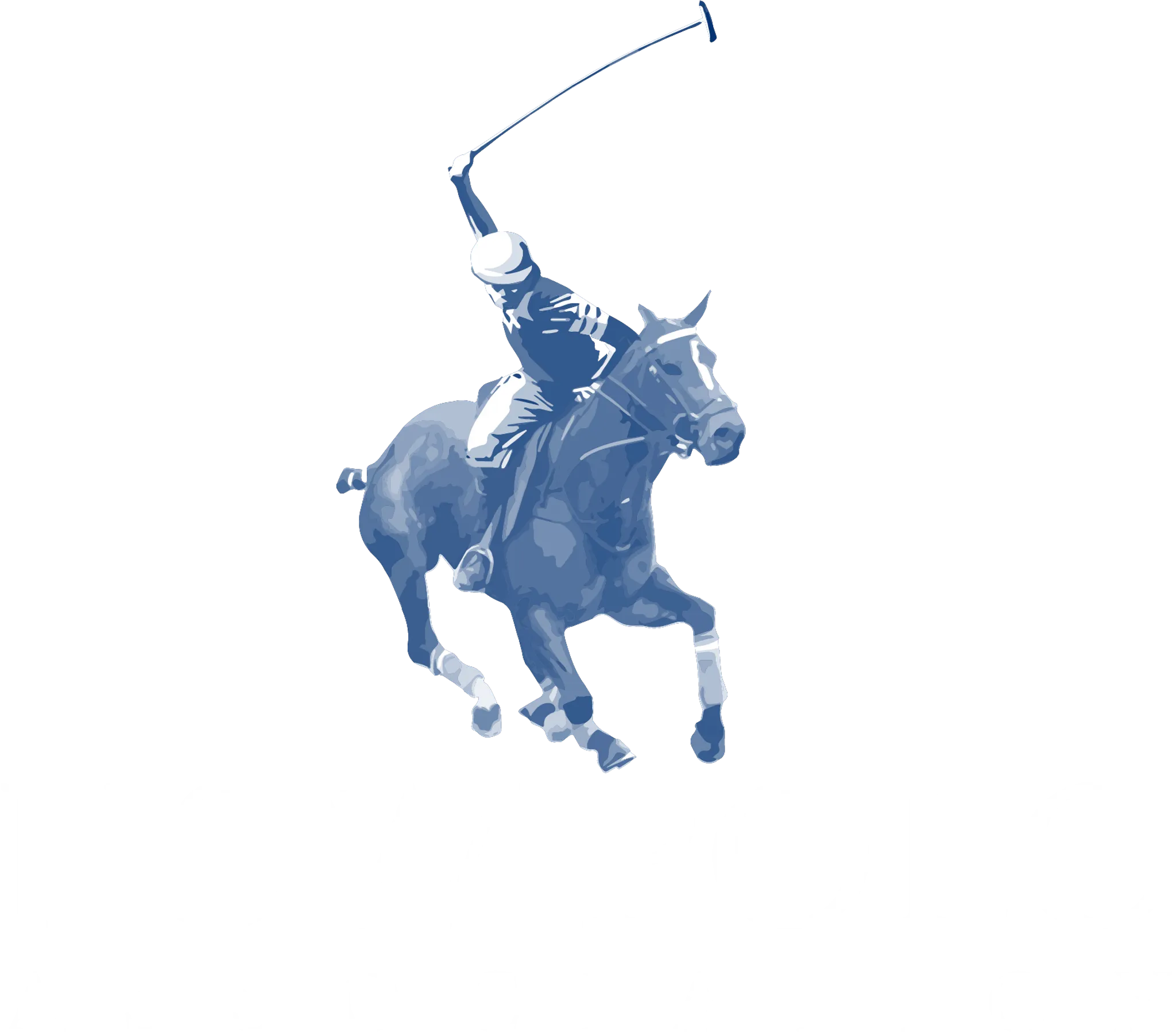 NSW Polo Association