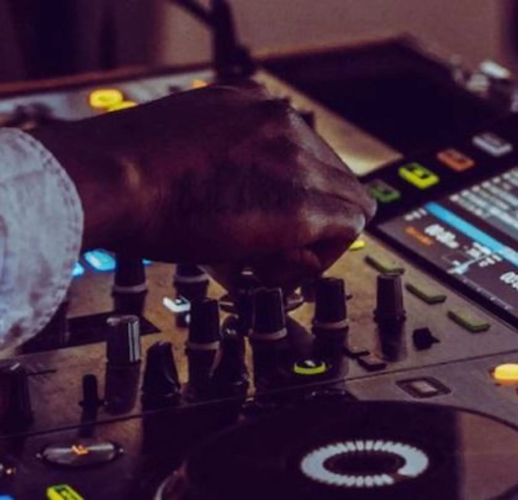 Back Sport Back Padel Tennis at Padium