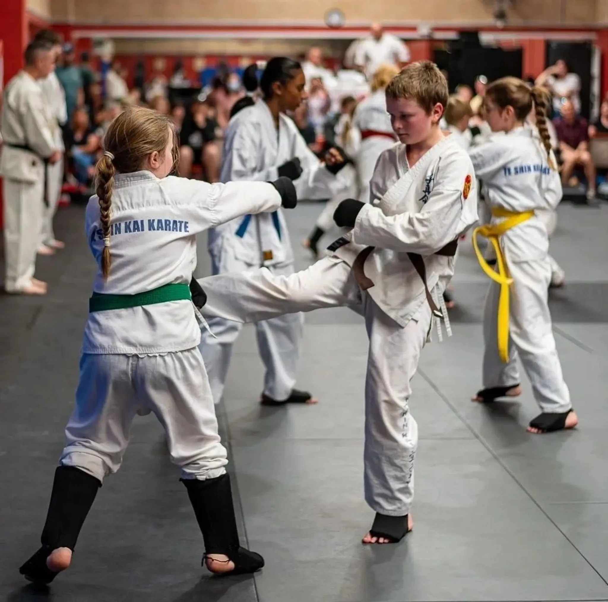 Bendigo MMA - Martial Arts Castlemaine