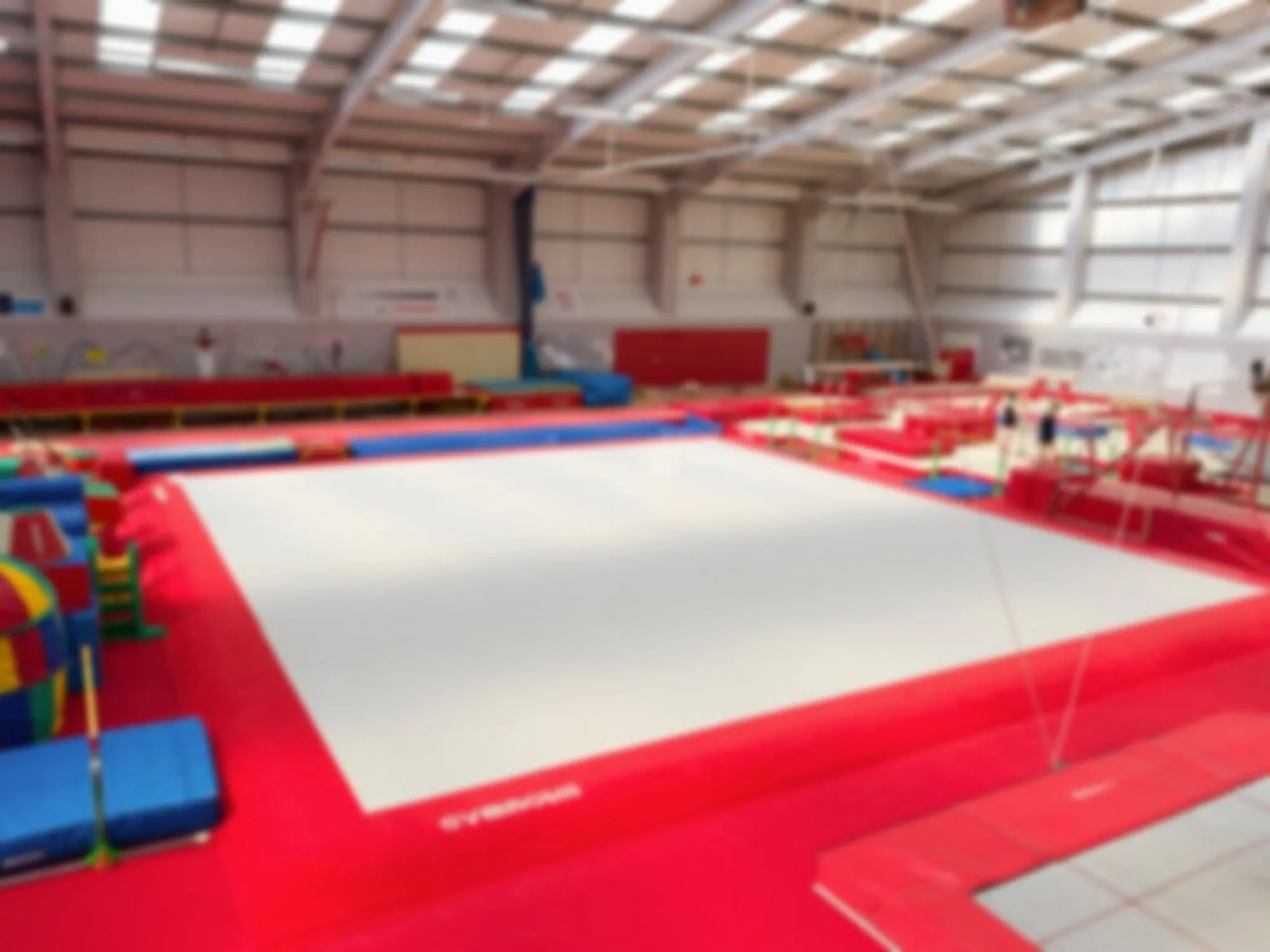 Waveney Gymnastics Club Party