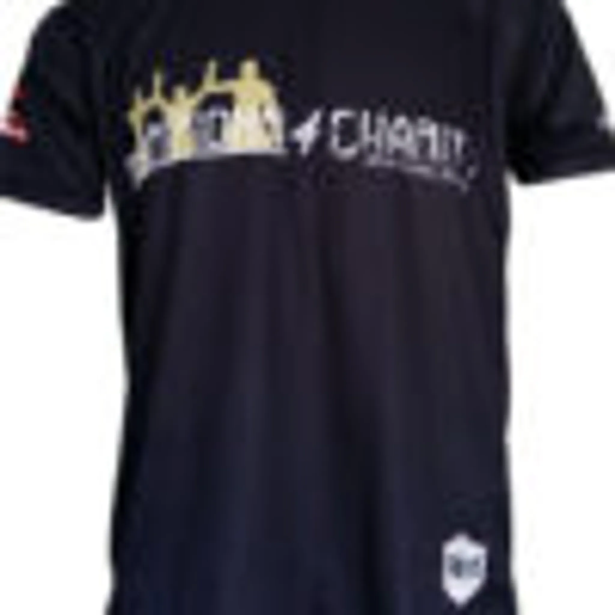 Champions White collar Boxing