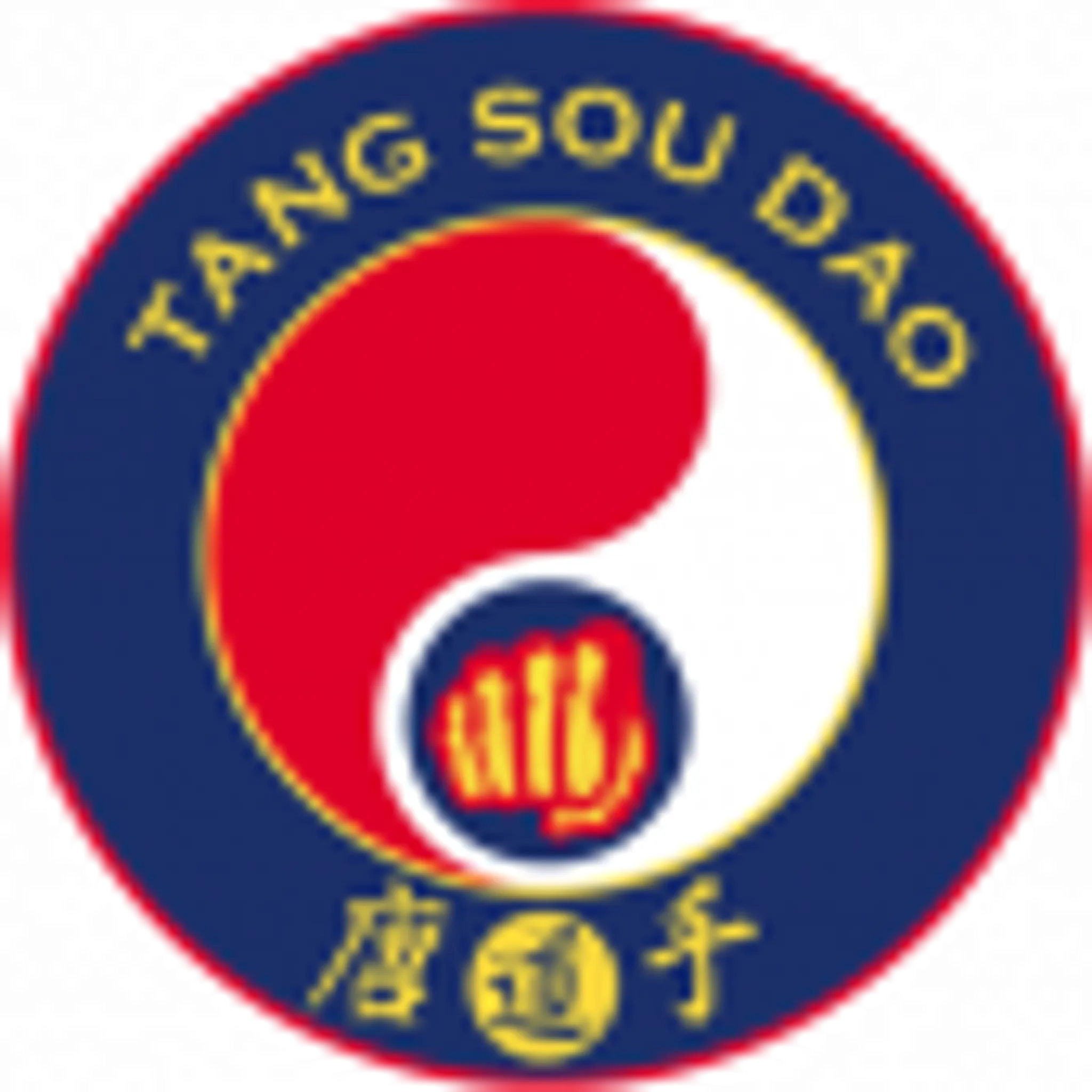 Rochford Martial Arts Club: TangSou Dao