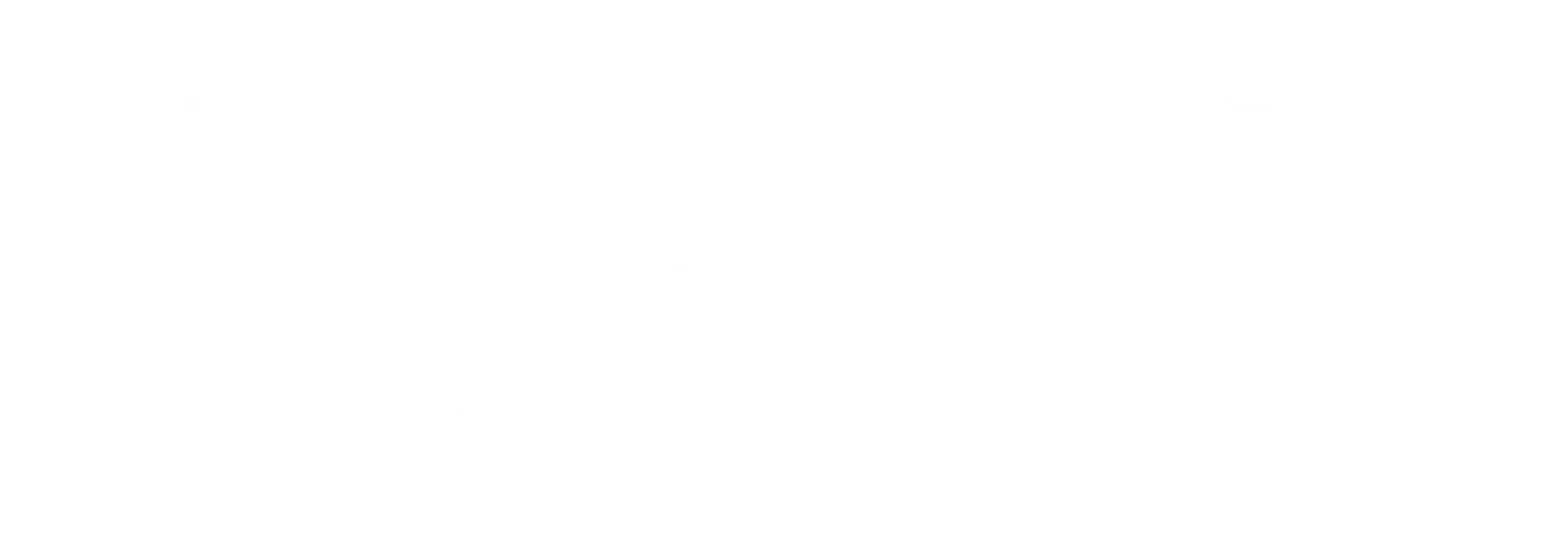 Absolute Fitness & Performance