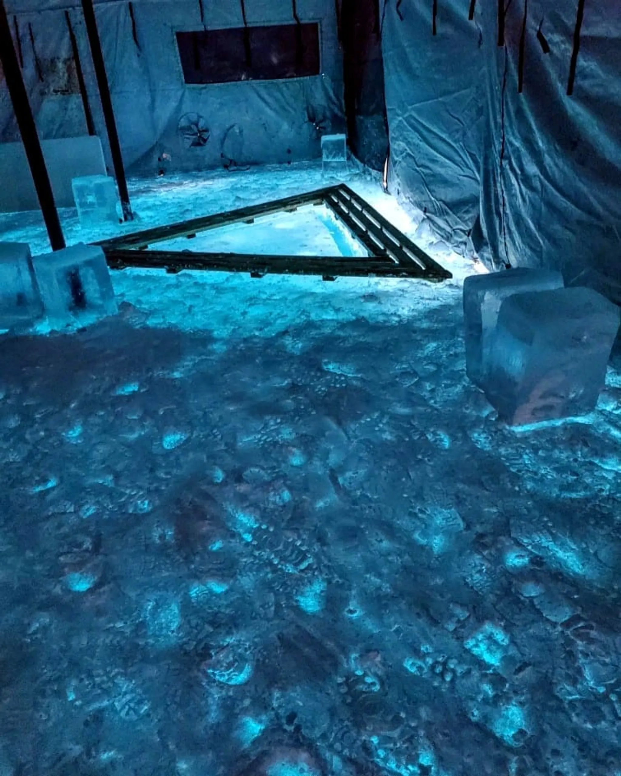 Galapagos 2024 Trip Planning by Rockfish Divers