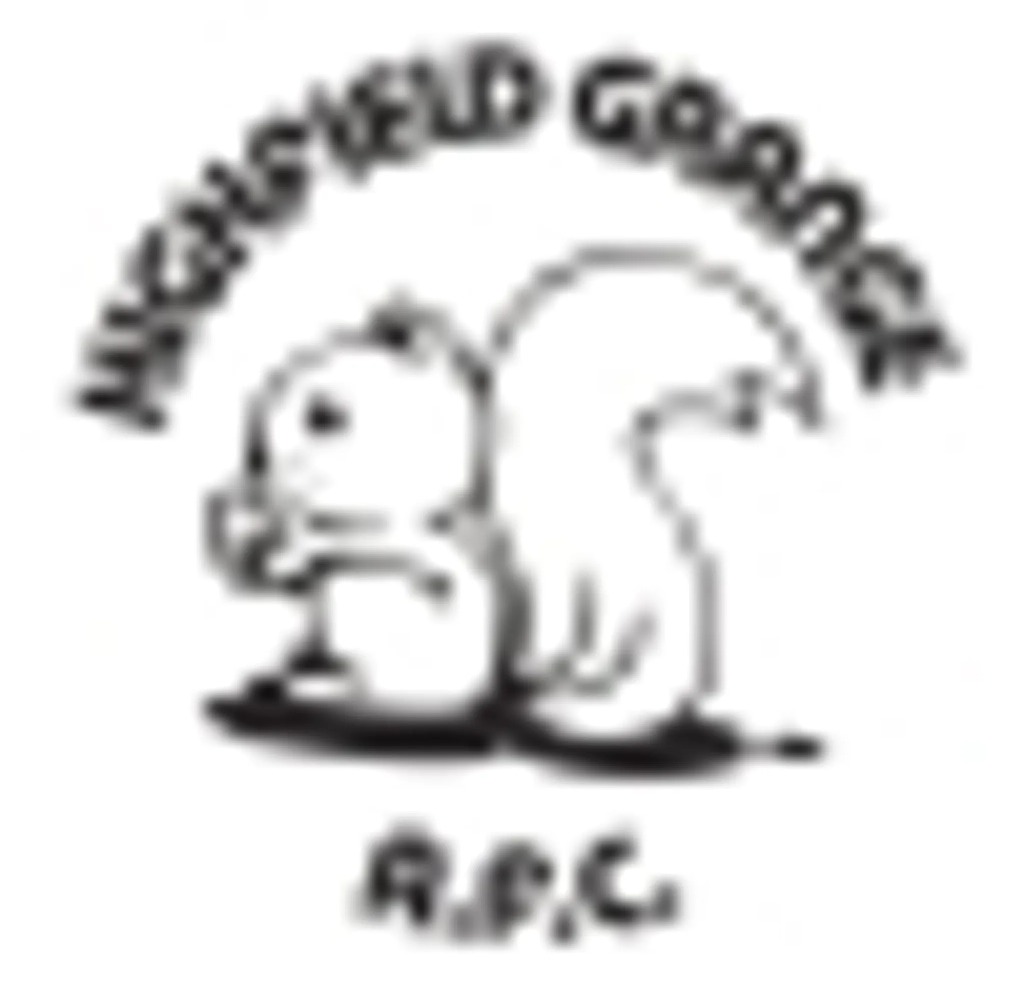 Oldham's Fold Football pitch - Highfield Grange AFC