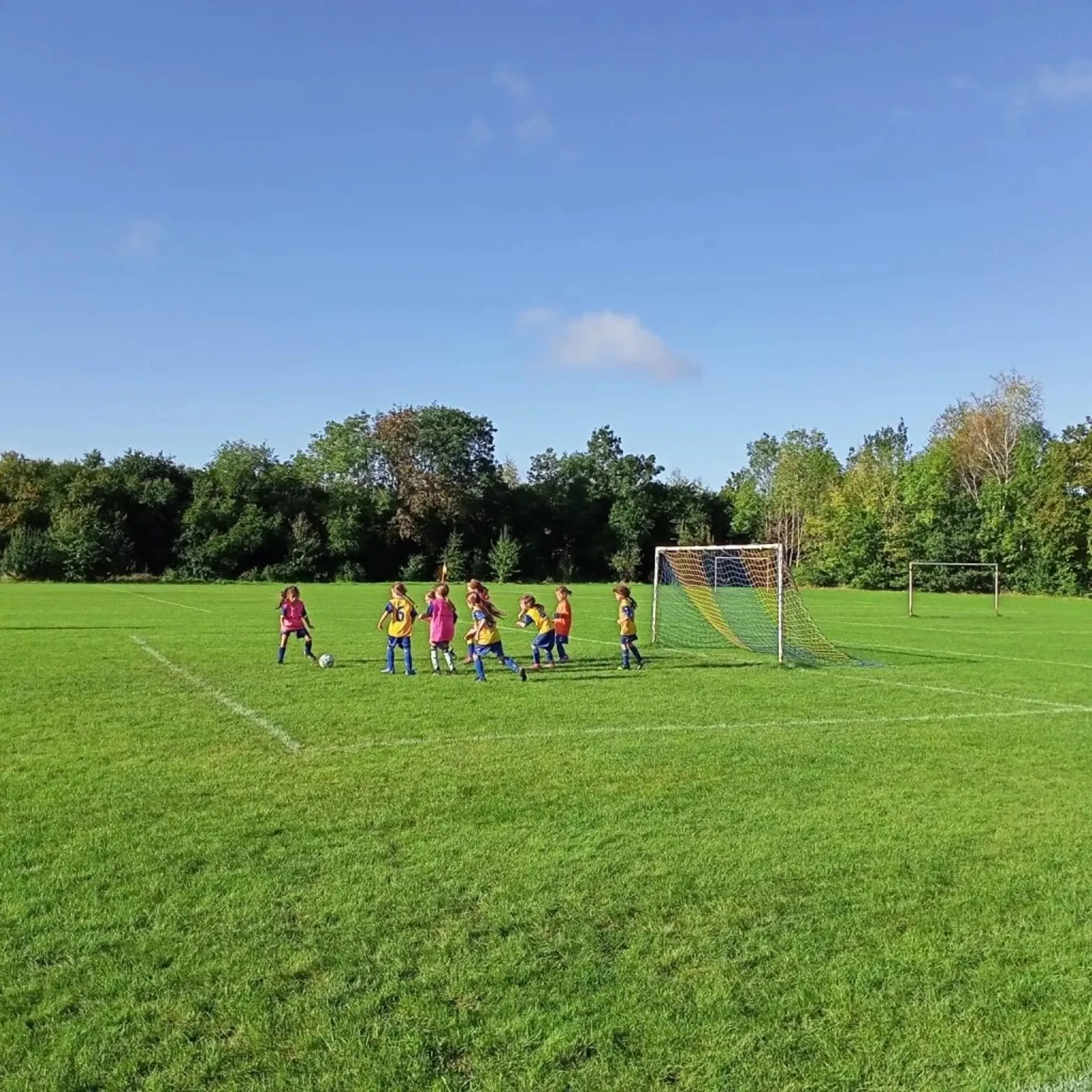 Victoria Playing Fields Football Club (VPFC)