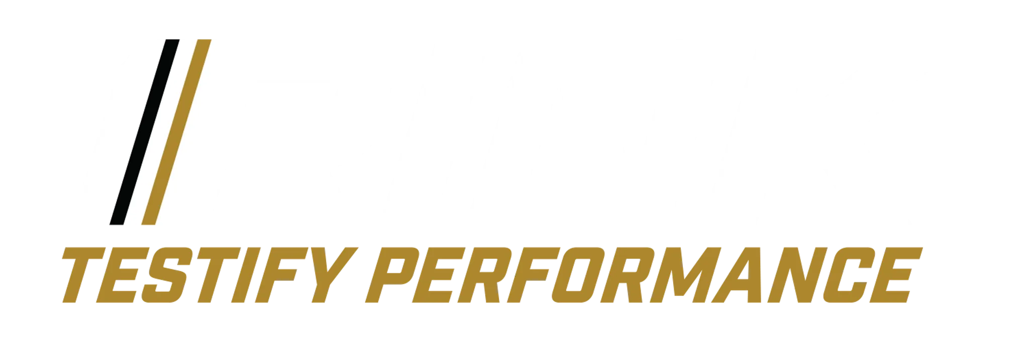 RINK Testify Performance South