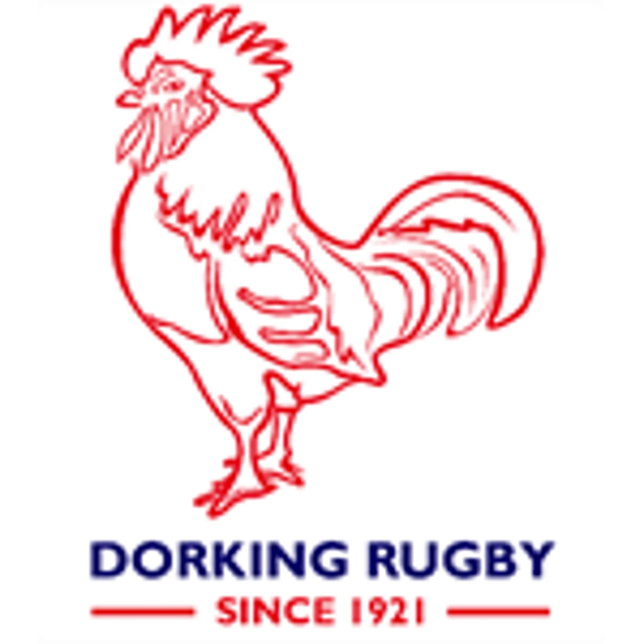 Dorking Rugby Club