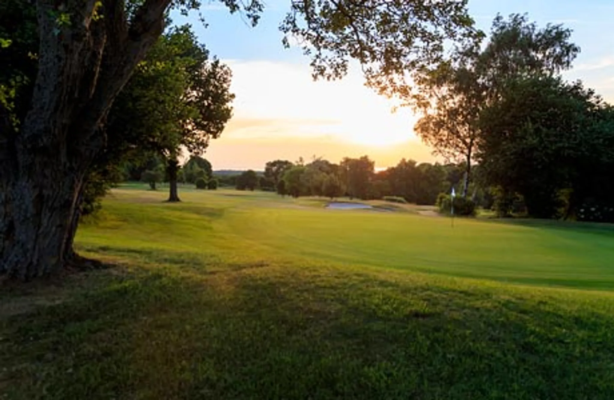 Tall Pines Golf Club