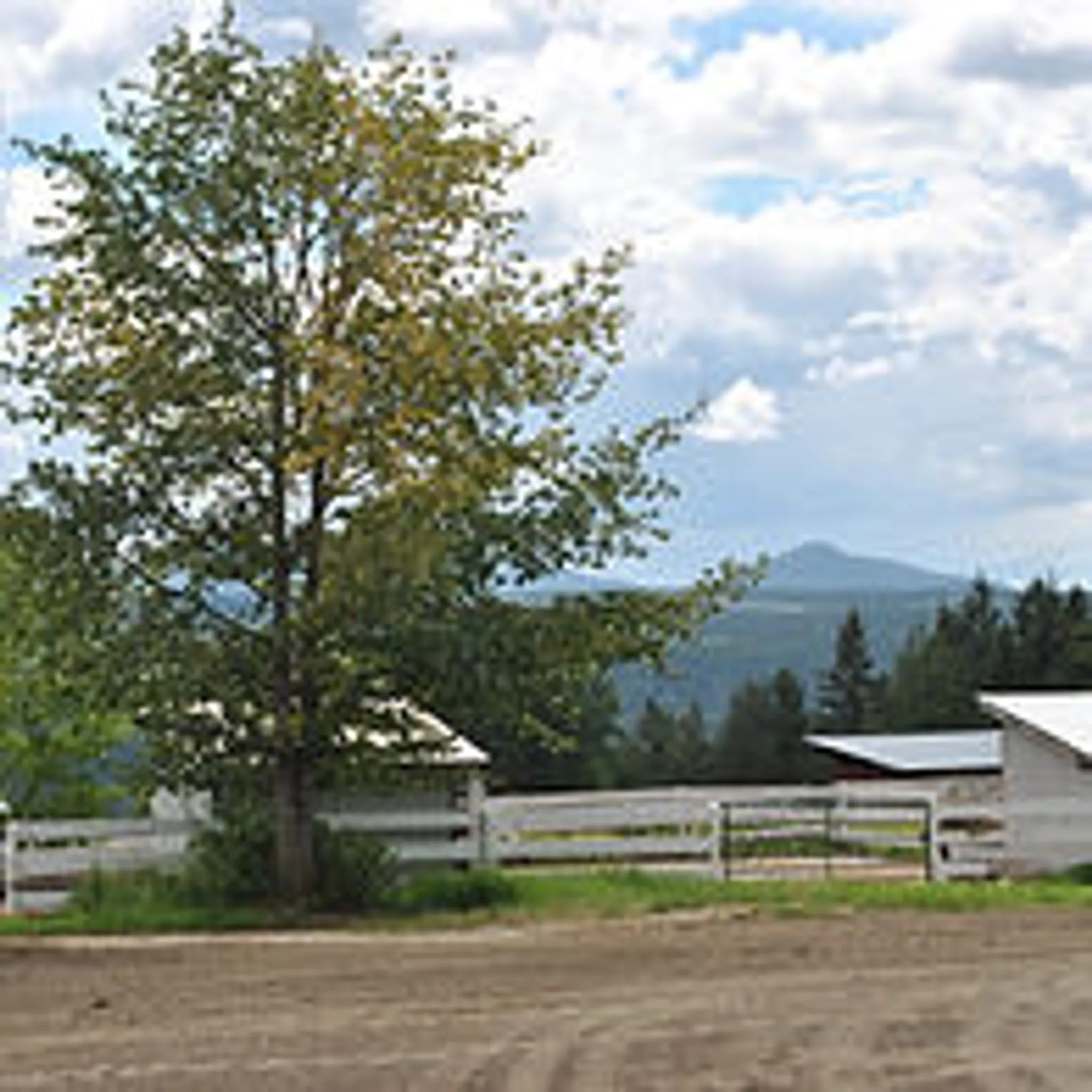 Eagle View Equestrian Centre