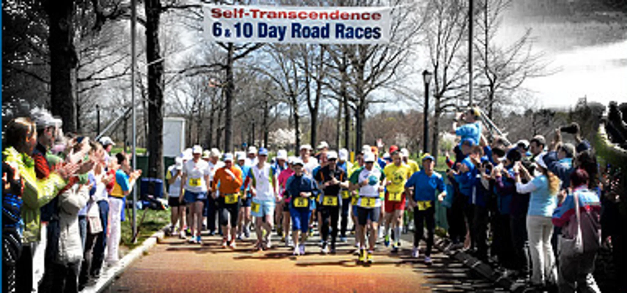 Sri Chinmoy Mt Coot-tha Trail Run - 10km & 20km