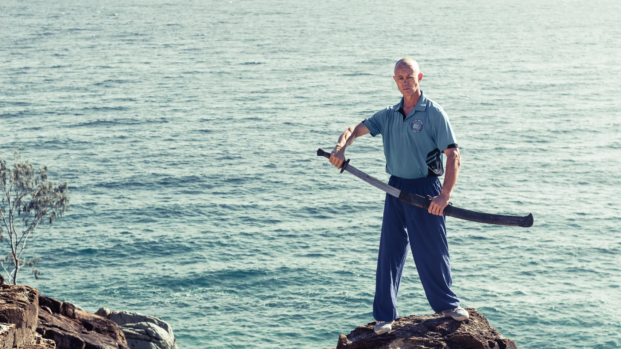 Blue Mantis Qi Gong Seminar