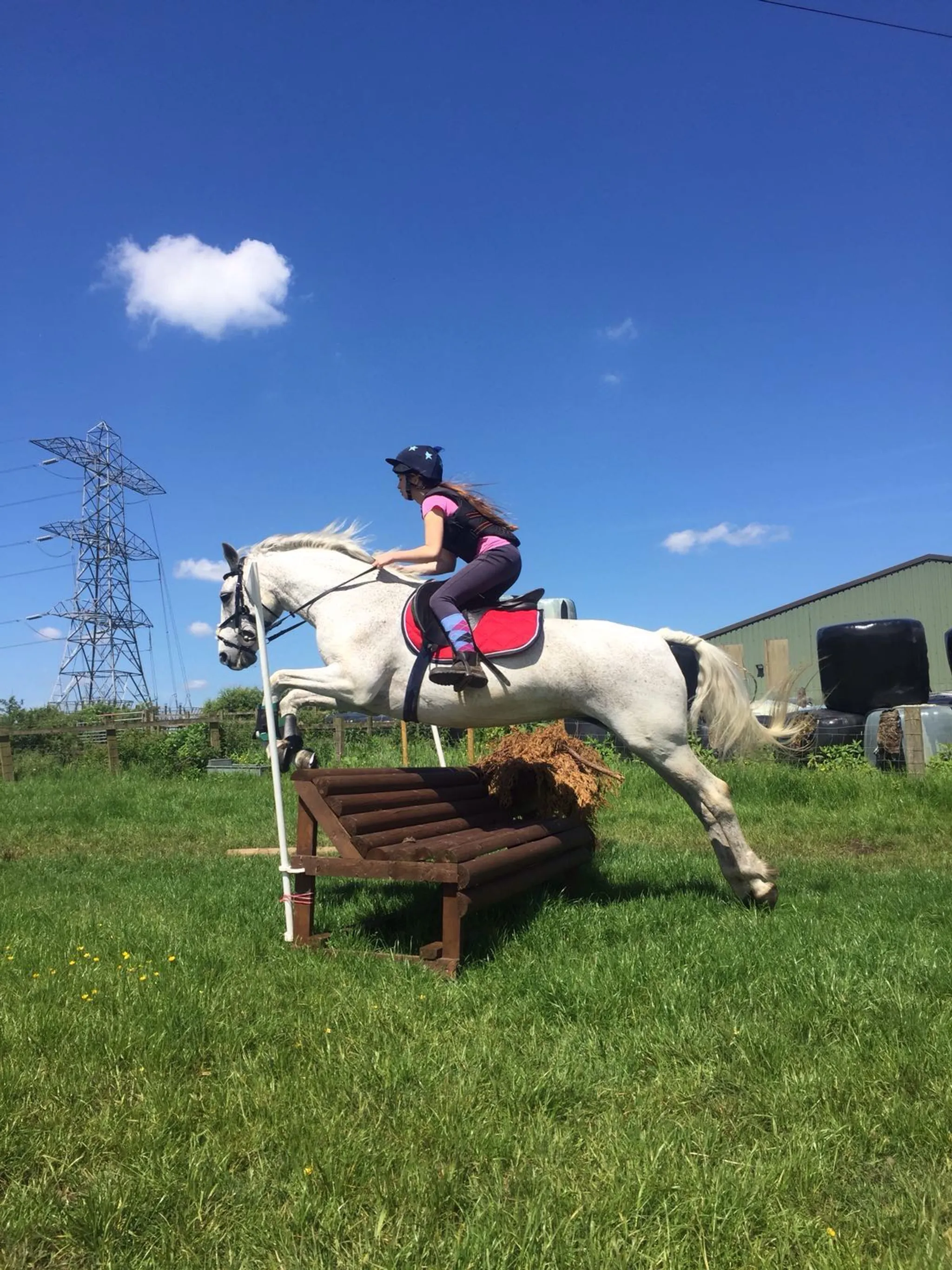 Ryders Farm Equestrian Centre