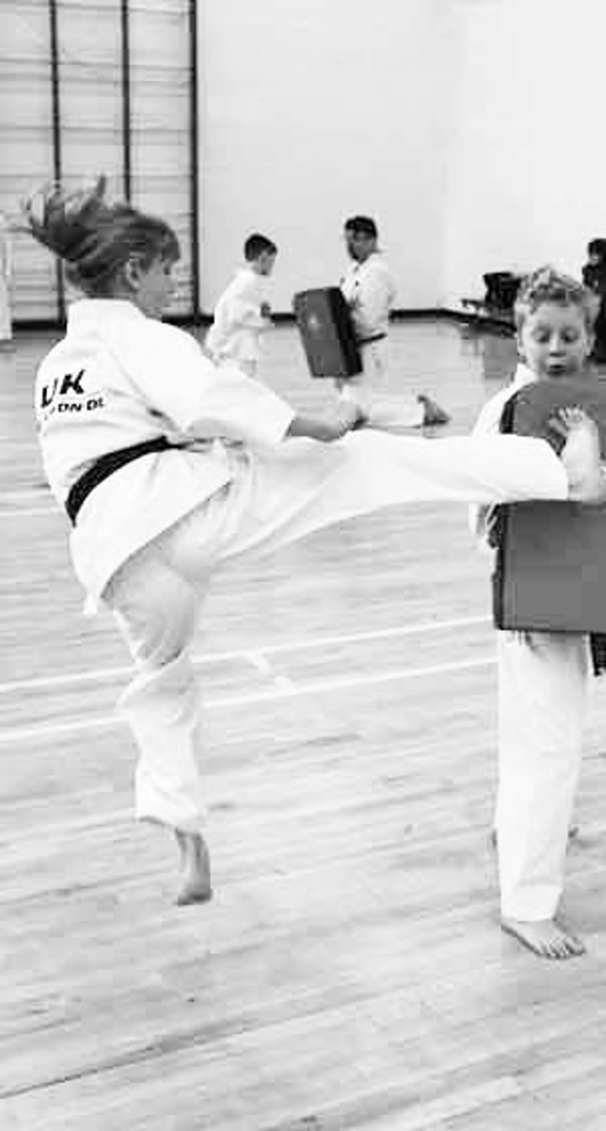 Linslade Taekwon-Do UKTKD