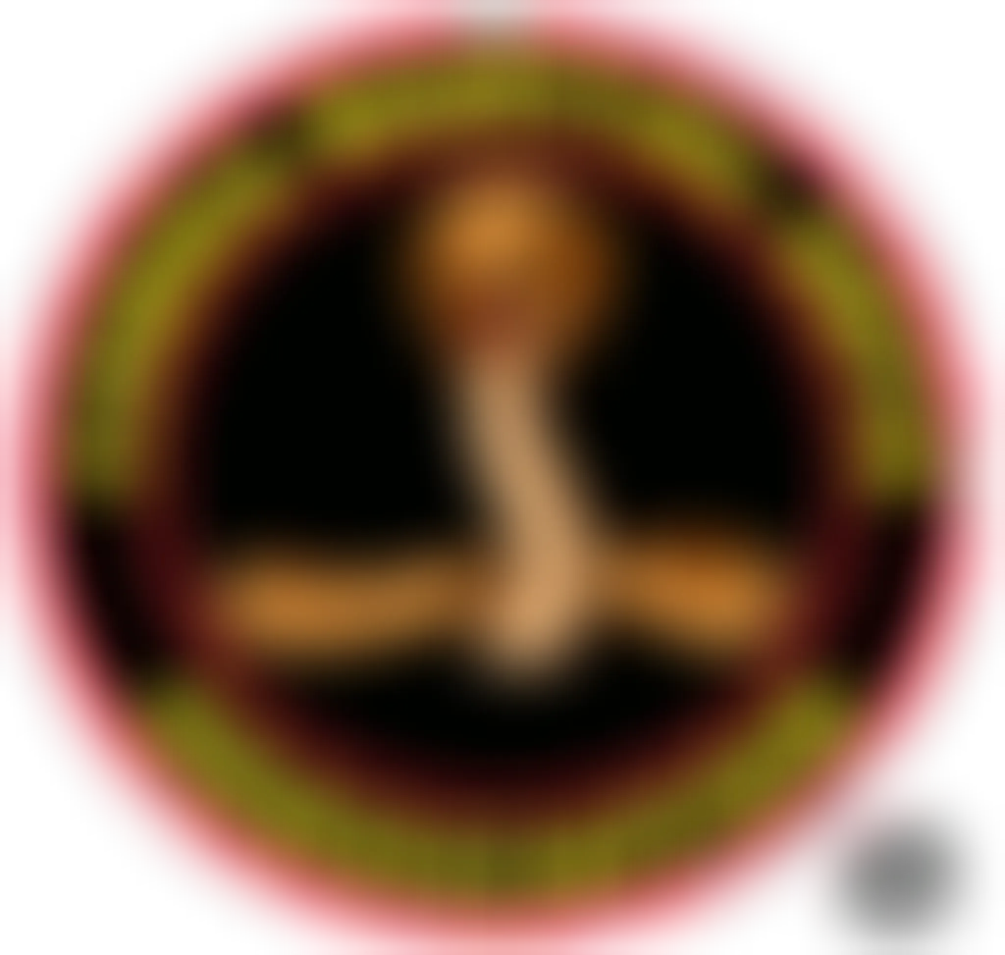 Cobra Martial Arts Association