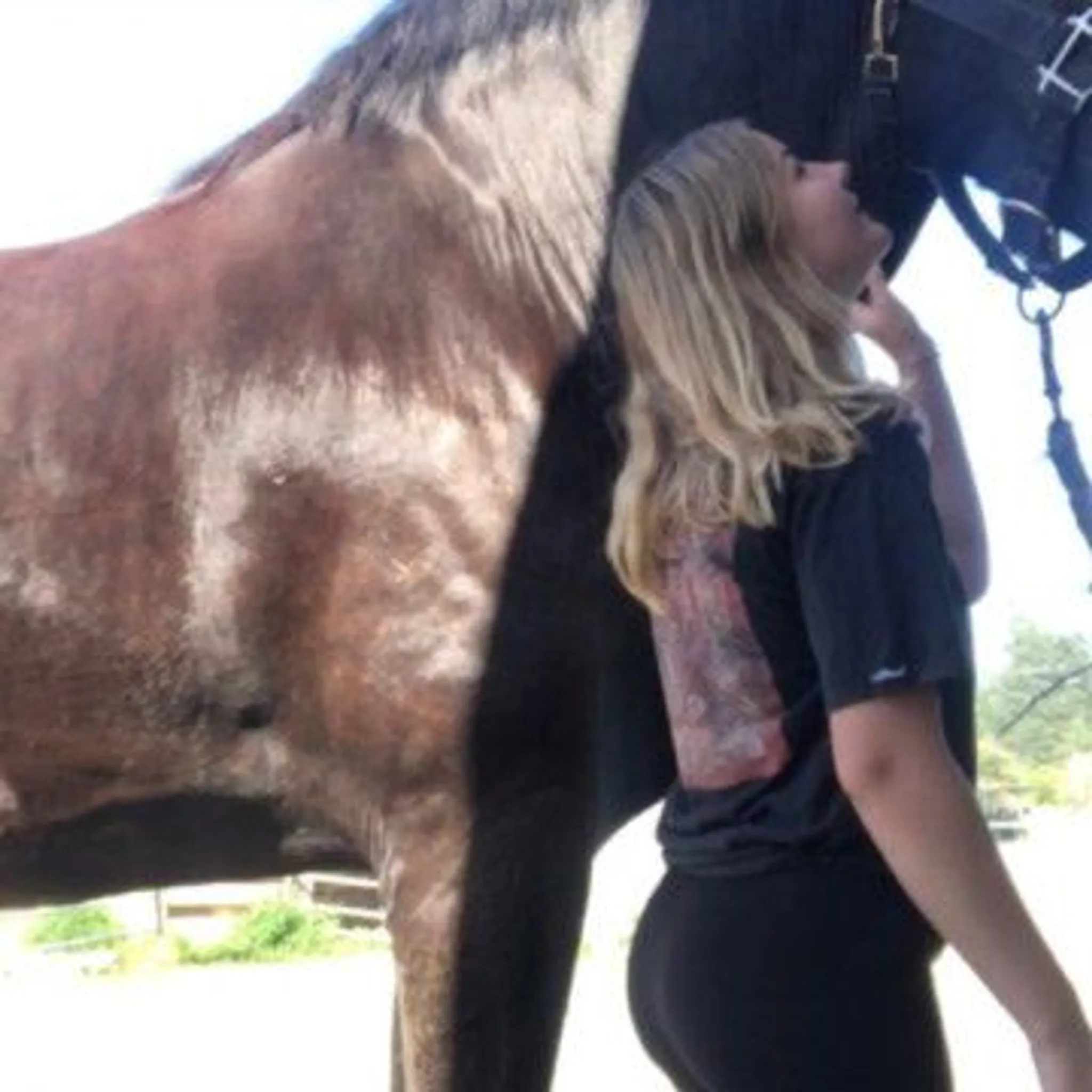 Victoria Carriage Tours