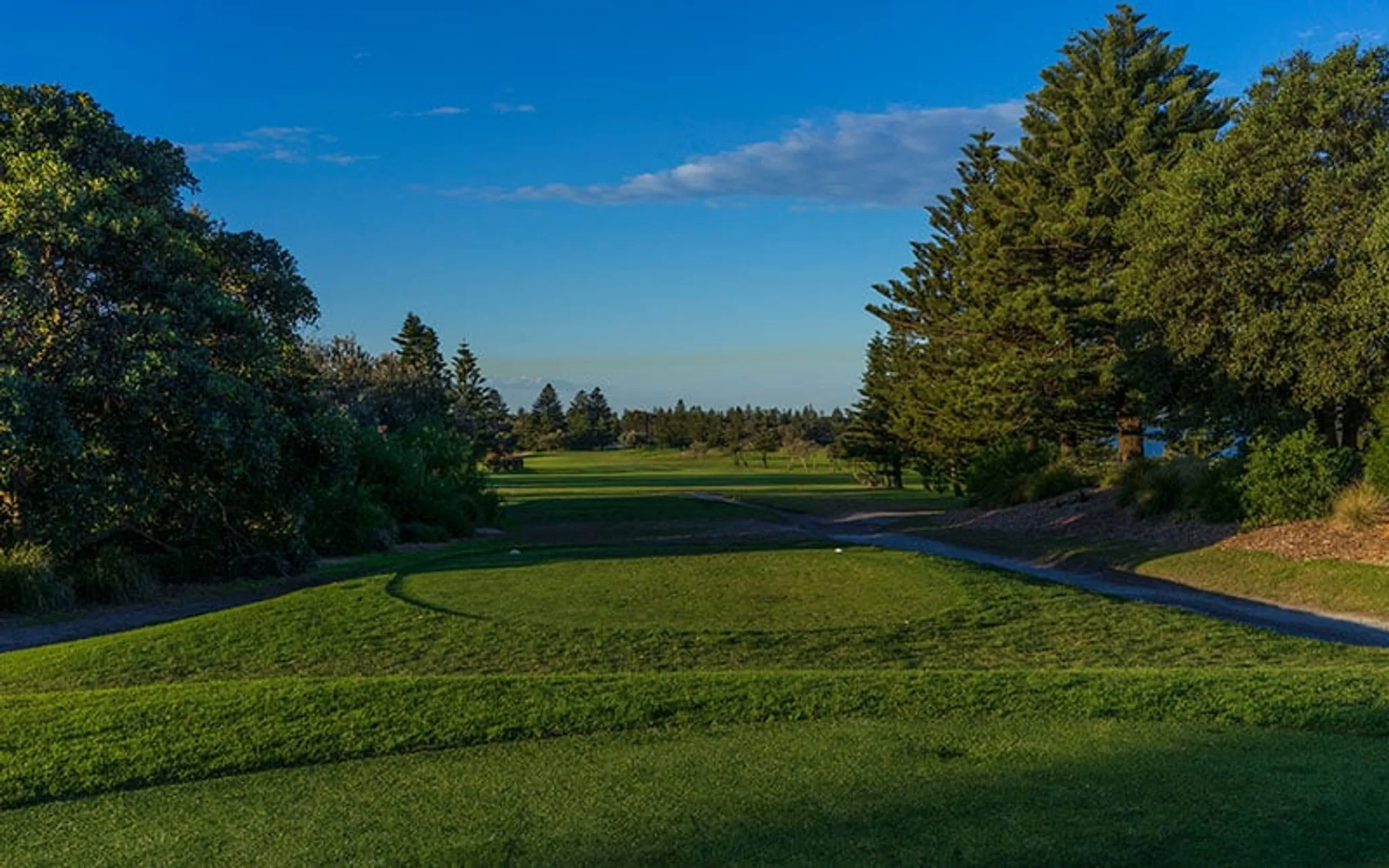 Mixed Foursomes Championships