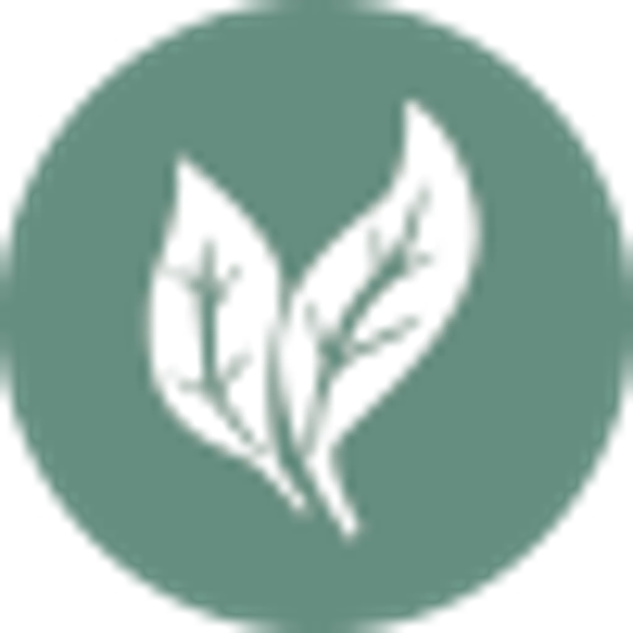 Inès Froidure - Naturopath - Massage - Yoga Lyon